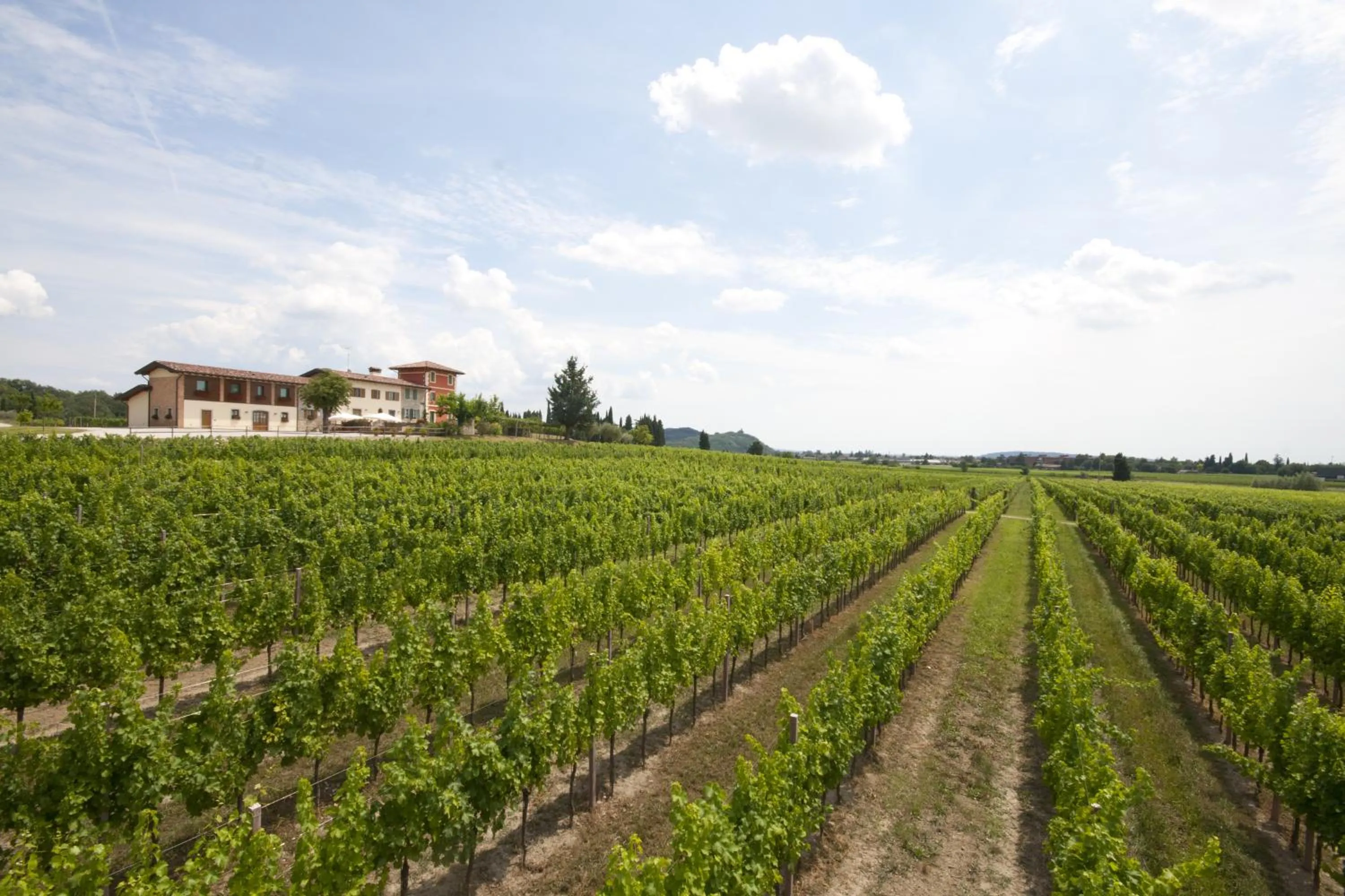 Alloggio Agrituristico CORTE SAN BIAGIO