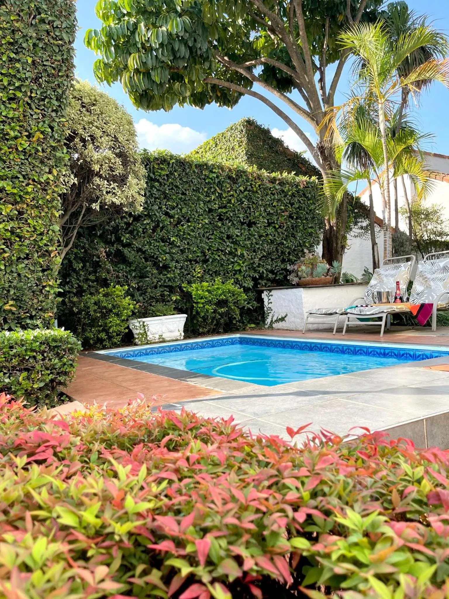 Swimming pool in TCS on Lynnwood Guesthouse