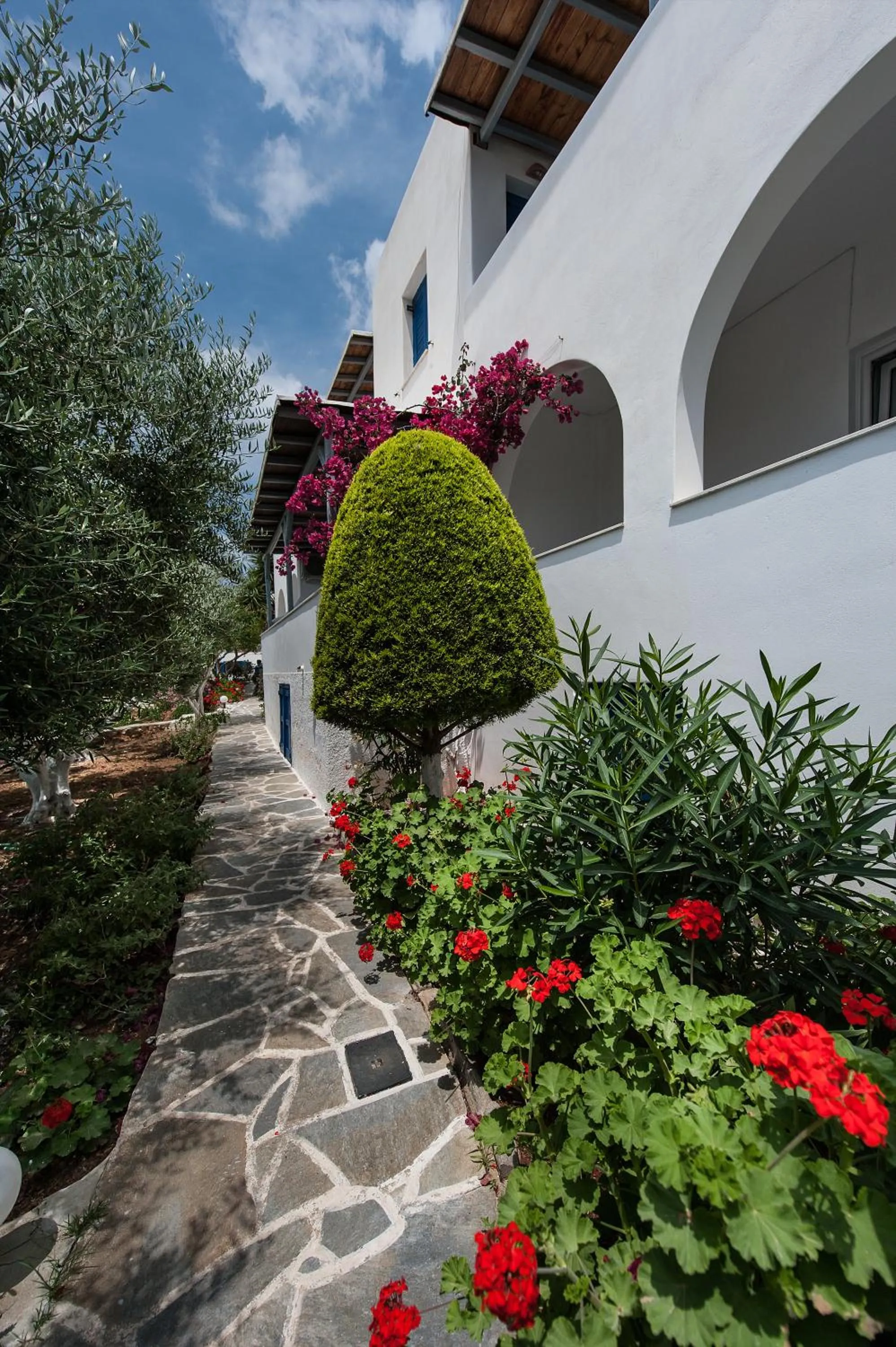 Garden in Anixis Studios Aliki Paros