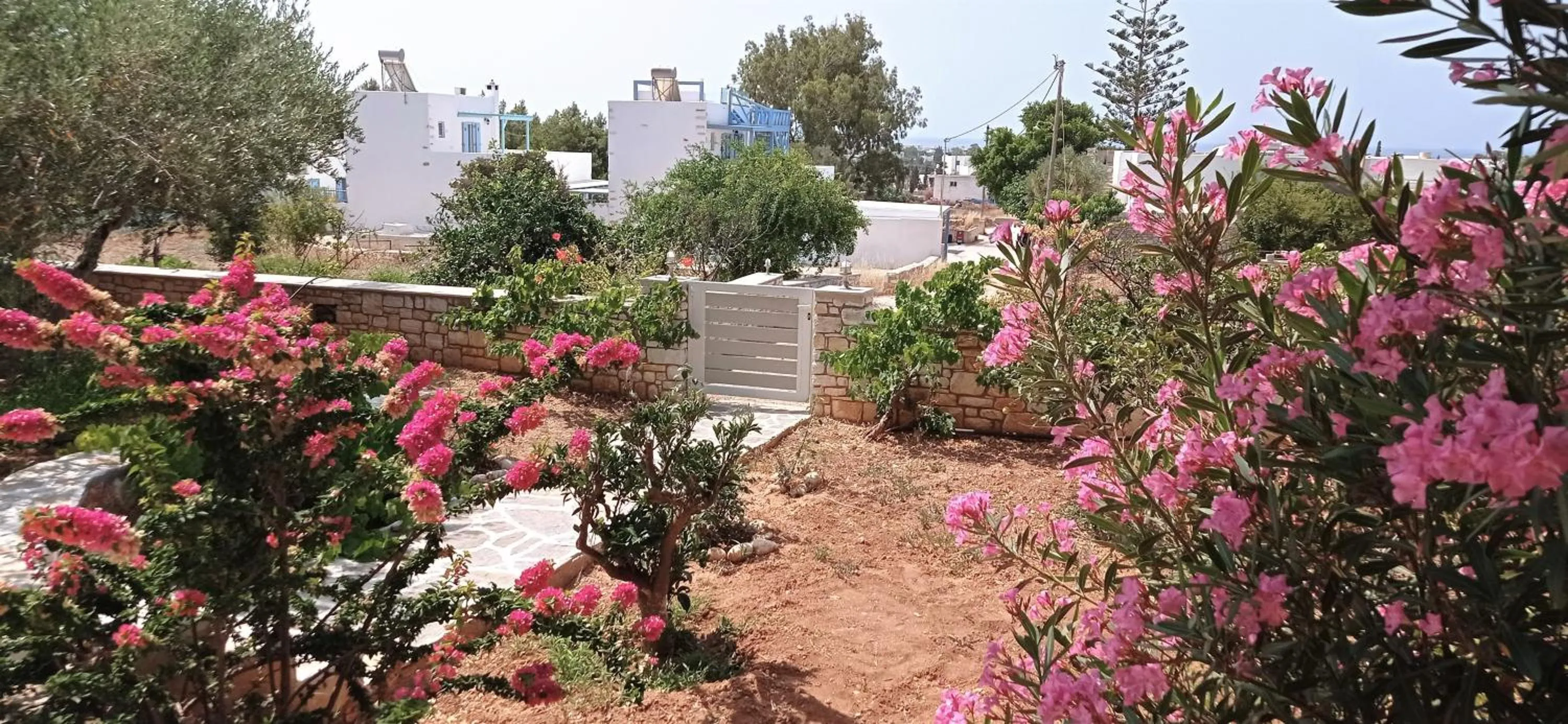 View (from property/room) in Anixis Studios Aliki Paros