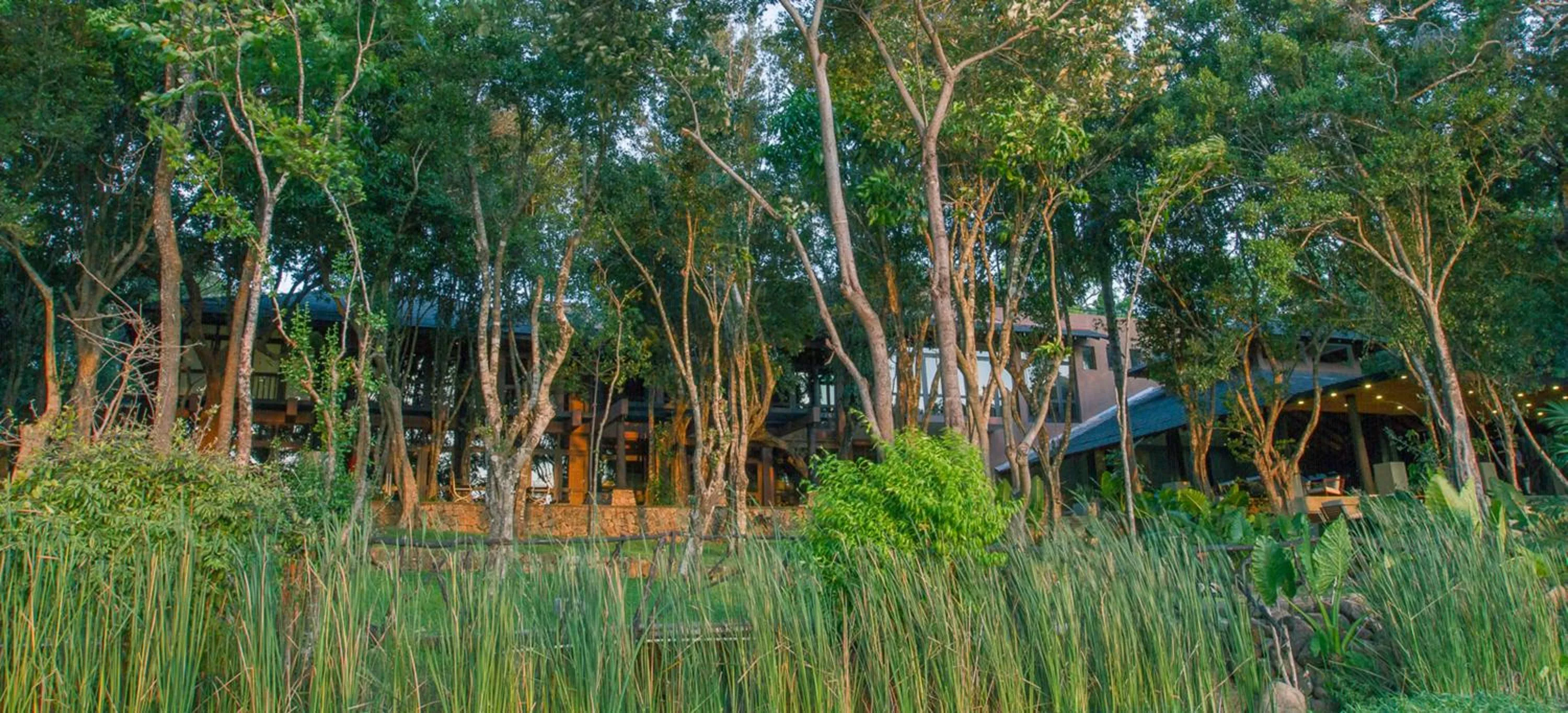 Garden in The Deer Park Hotel