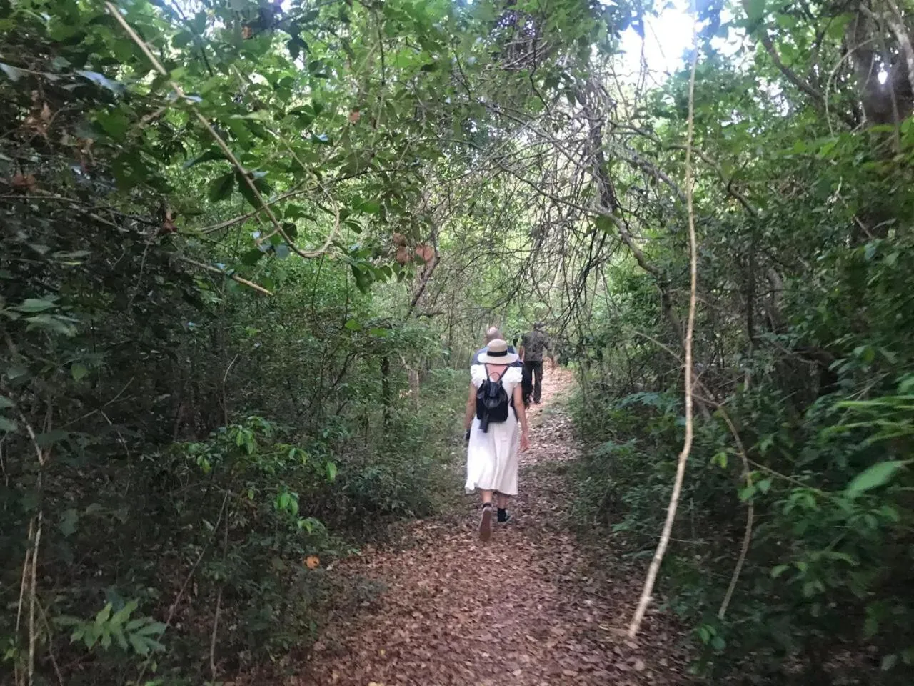 Hiking in The Deer Park Hotel