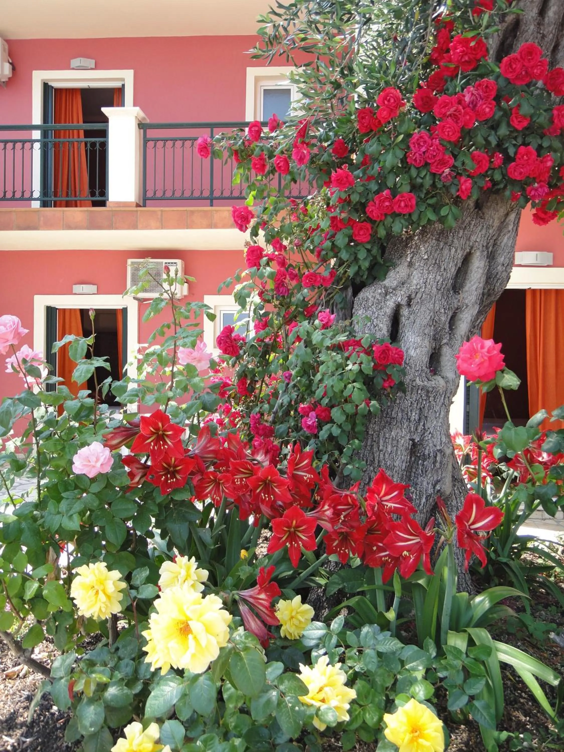 Facade/entrance in Apartments Corfu Sun Sea Side