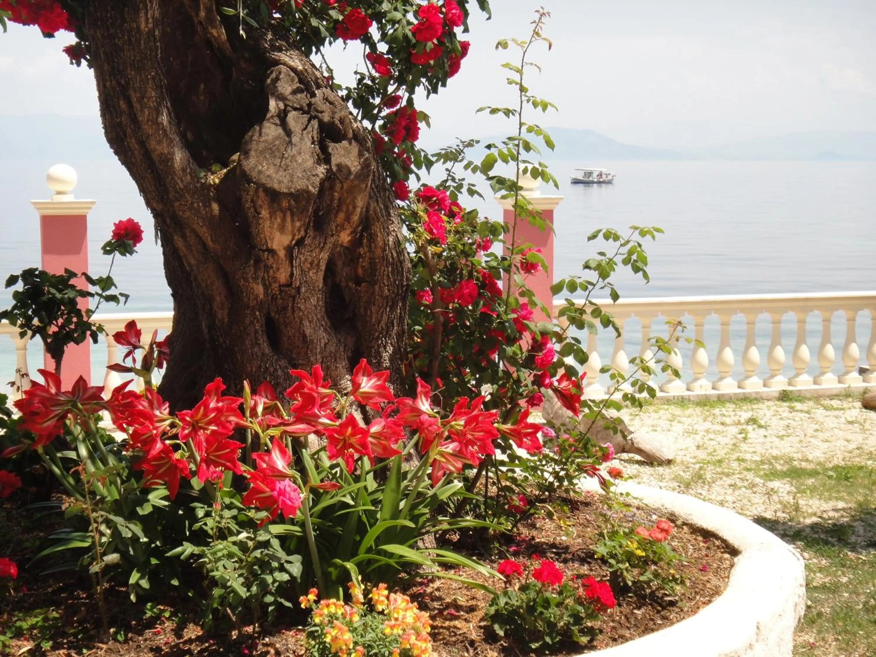 Decorative detail in Apartments Corfu Sun Sea Side