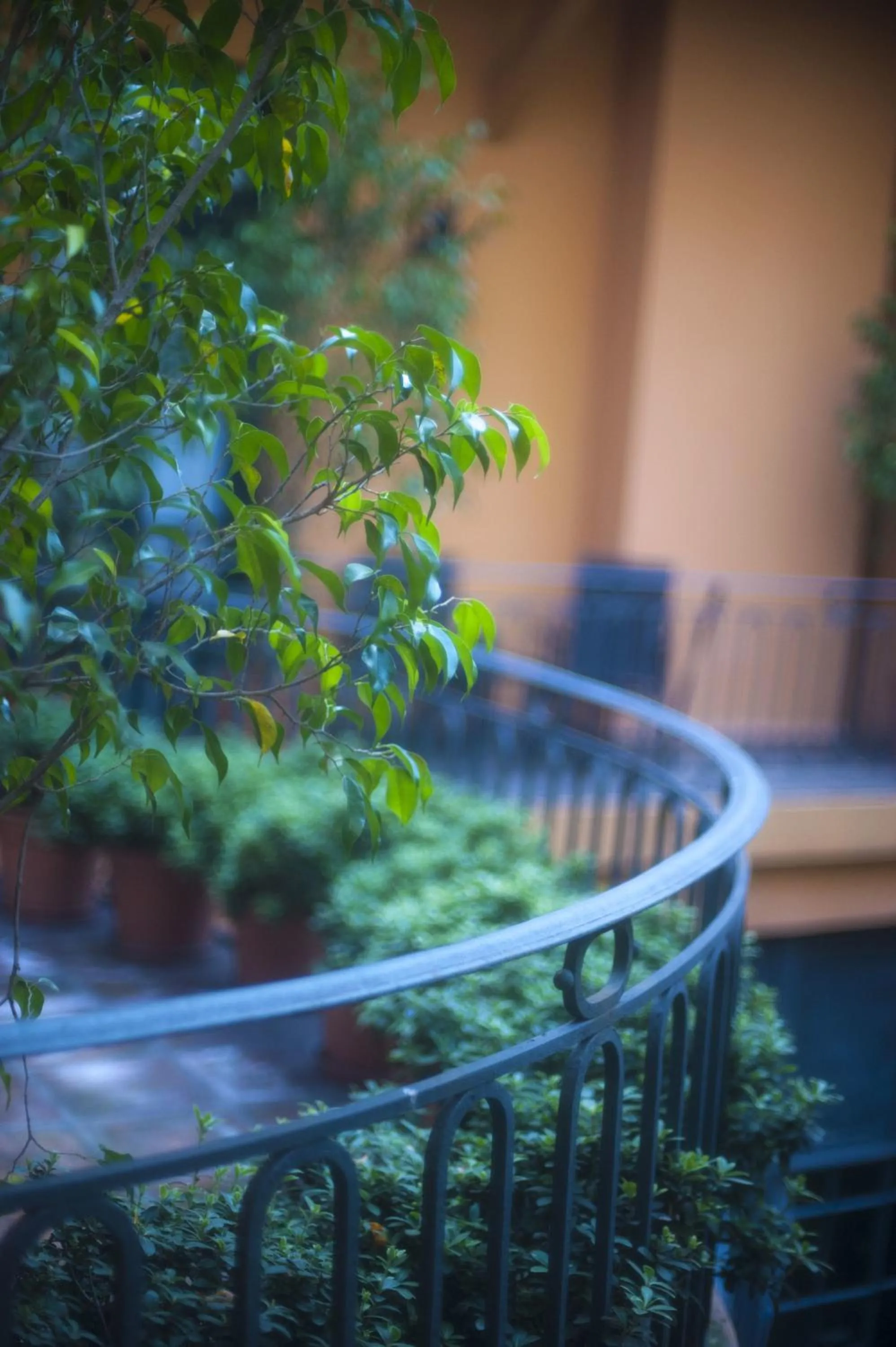 Balcony/Terrace in Legado Mitico Salta Hotel Boutique