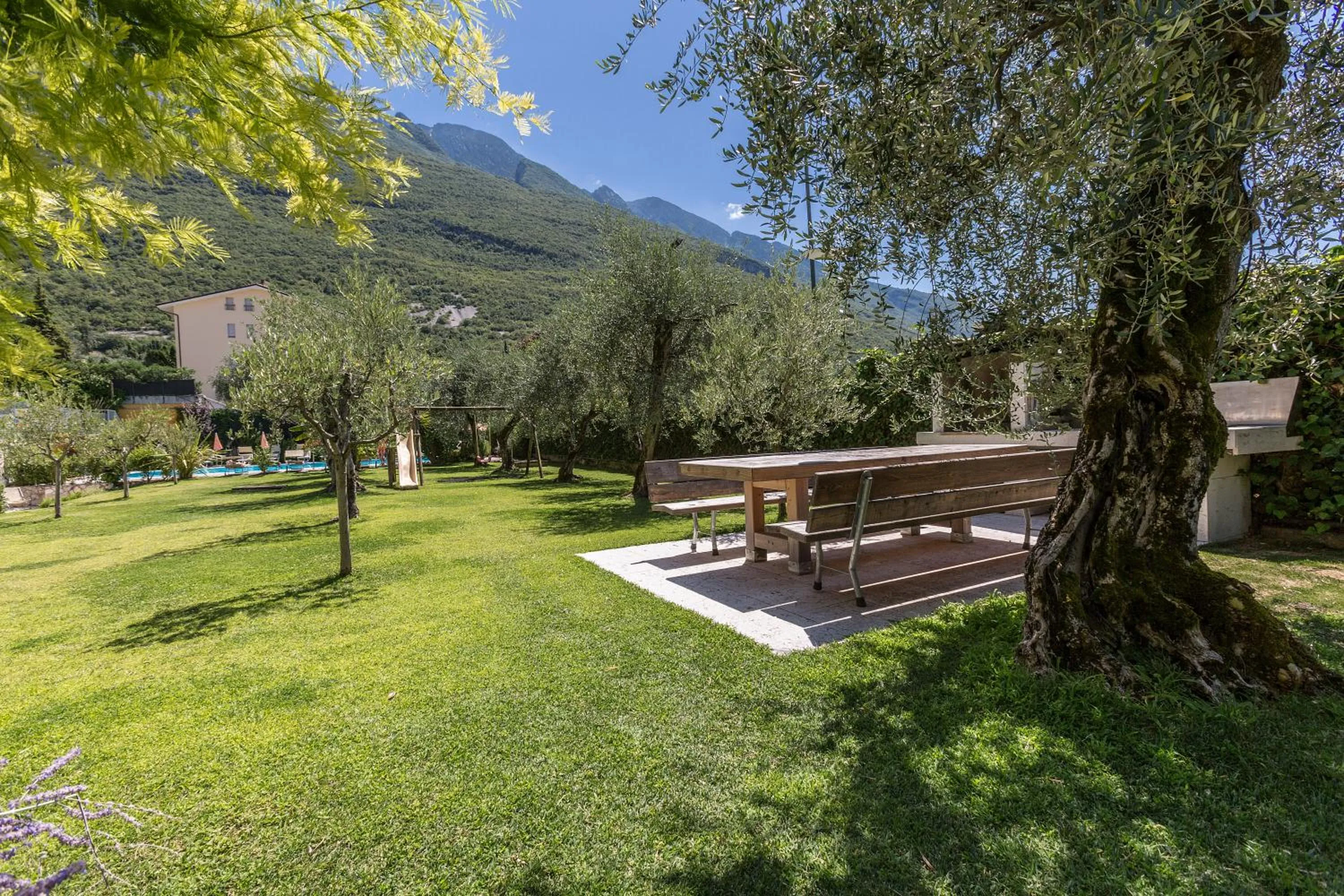 Garden in Residence Goethe