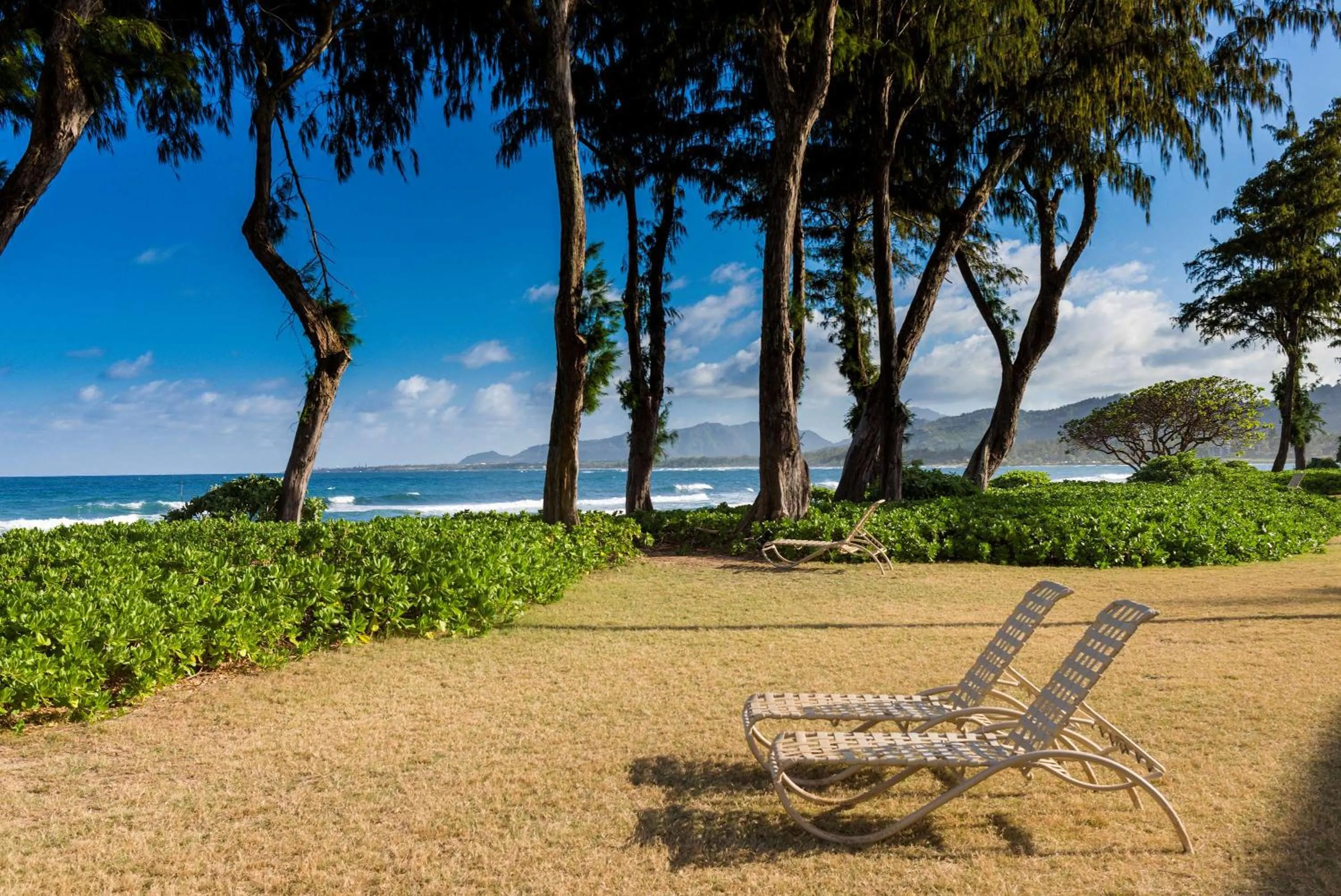 Day in Aston Islander On The Beach