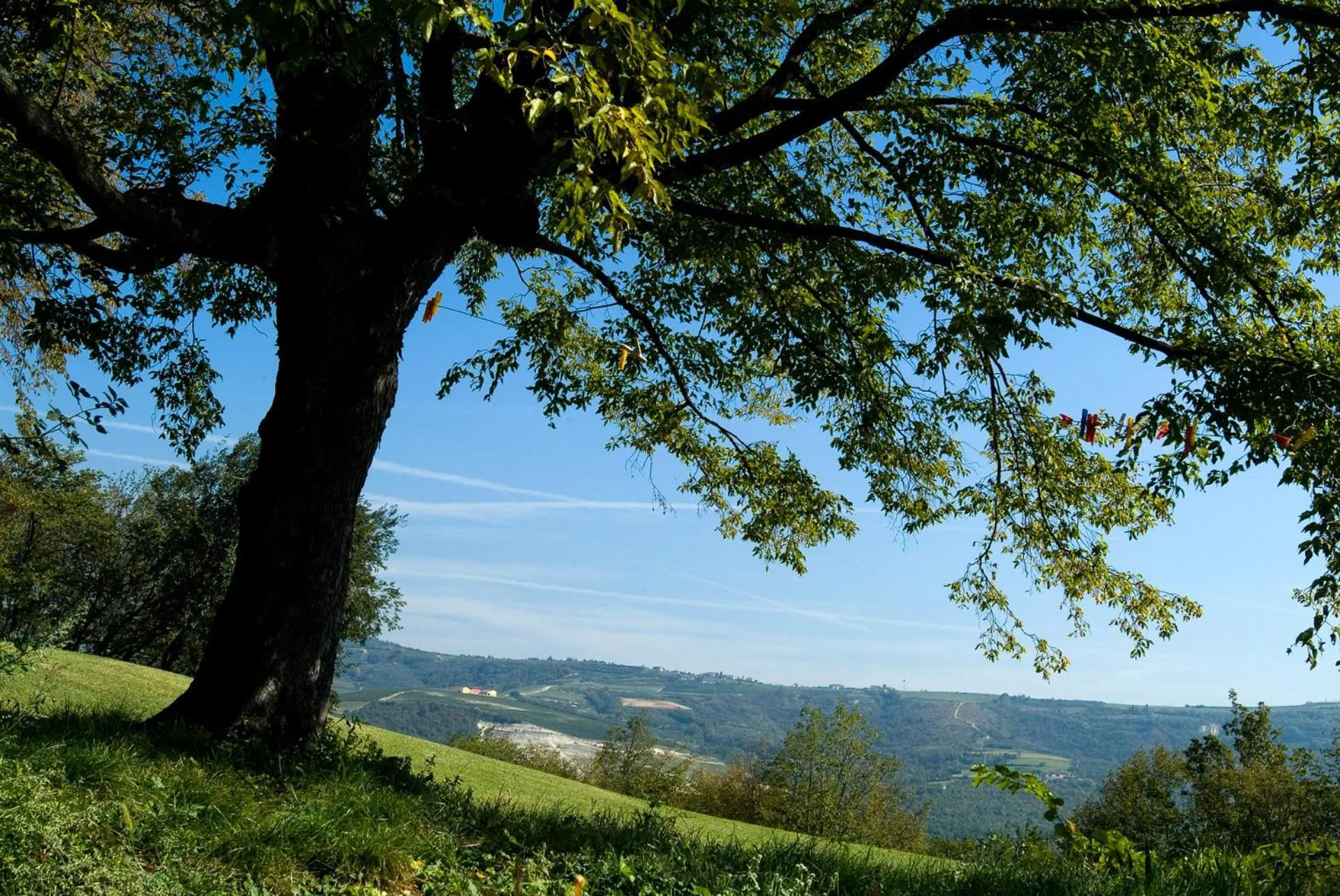 Garden in Agriturismo Delo