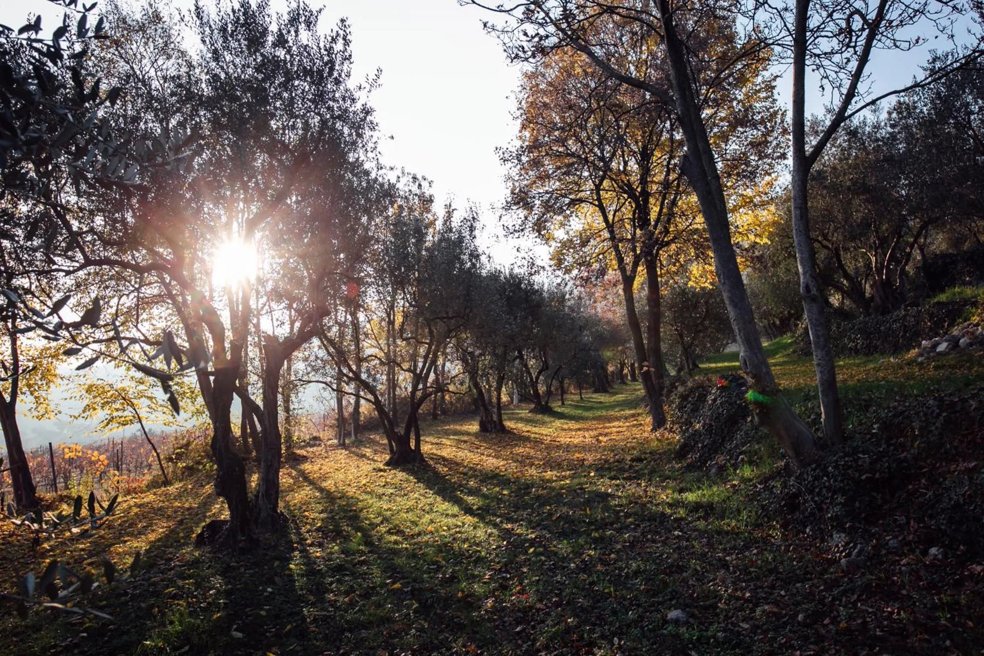 Garden in Agriturismo Delo
