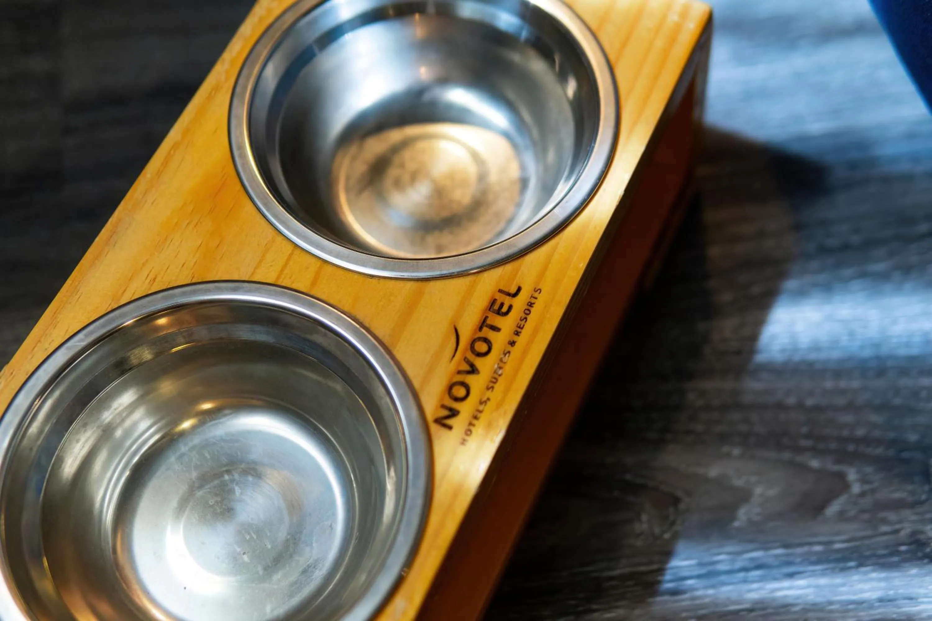 Pets in Novotel Curitiba Batel