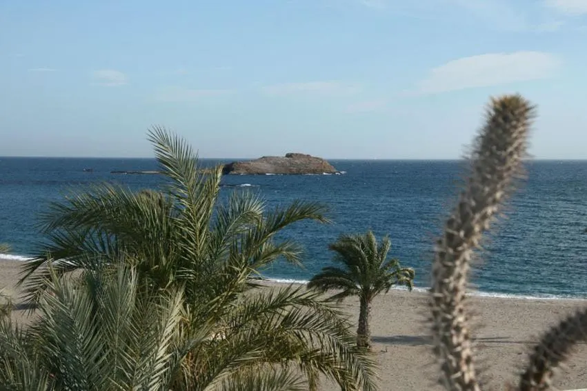 View (from property/room) in Hotel Las Palmas