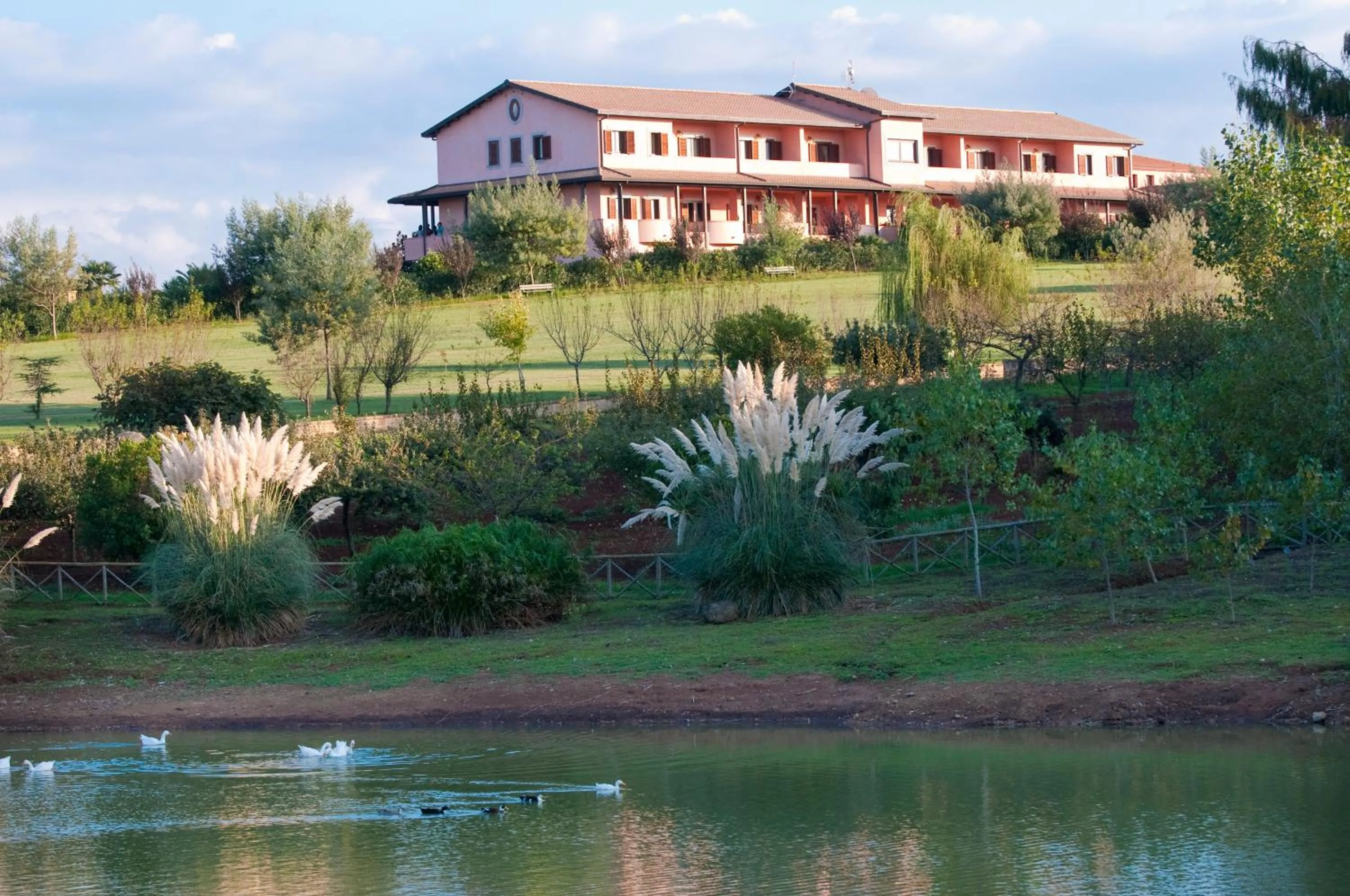 Natural landscape in Popilia Country Resort