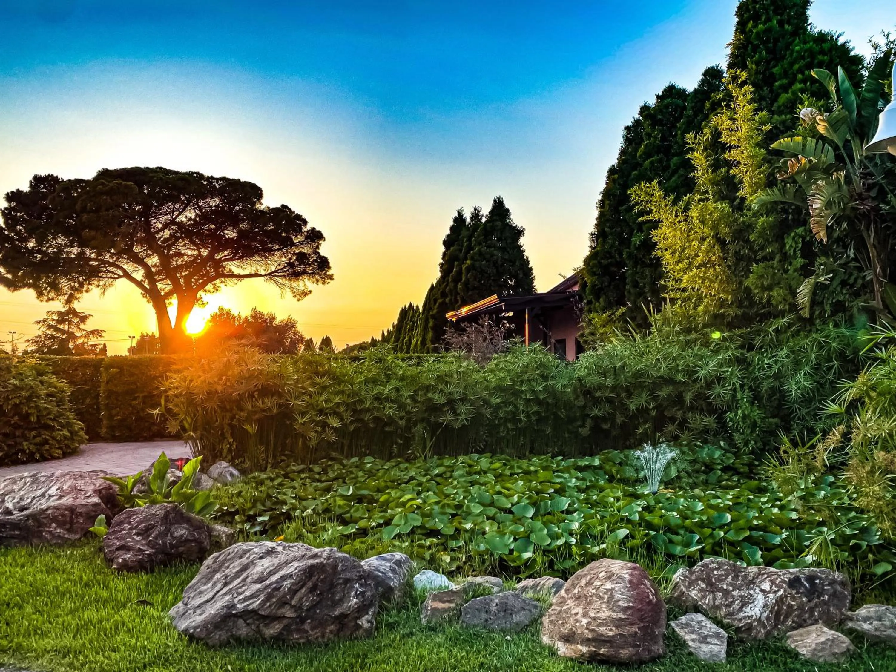 Garden in Popilia Country Resort