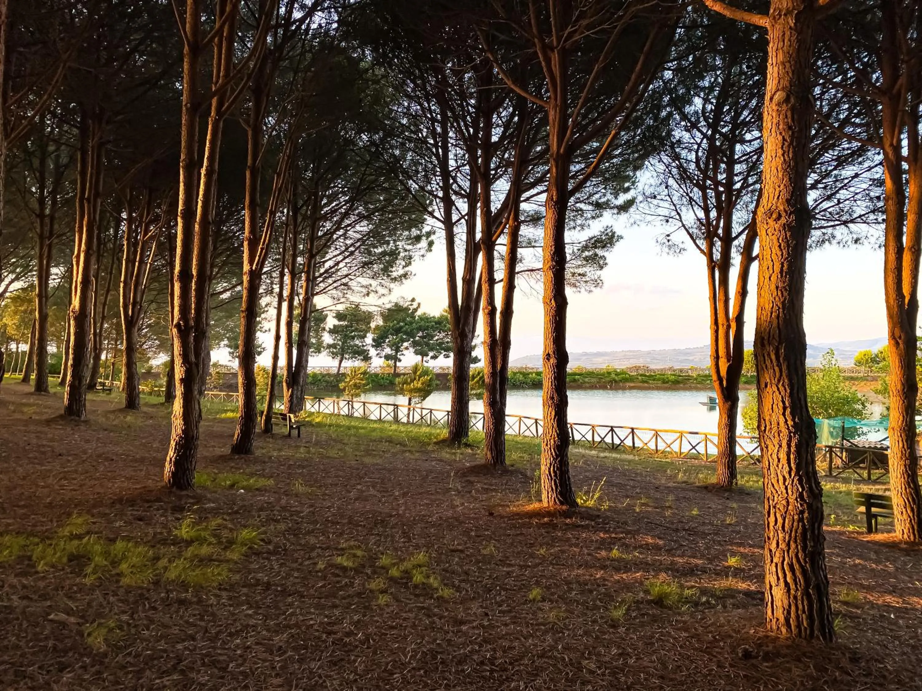 Garden in Popilia Country Resort