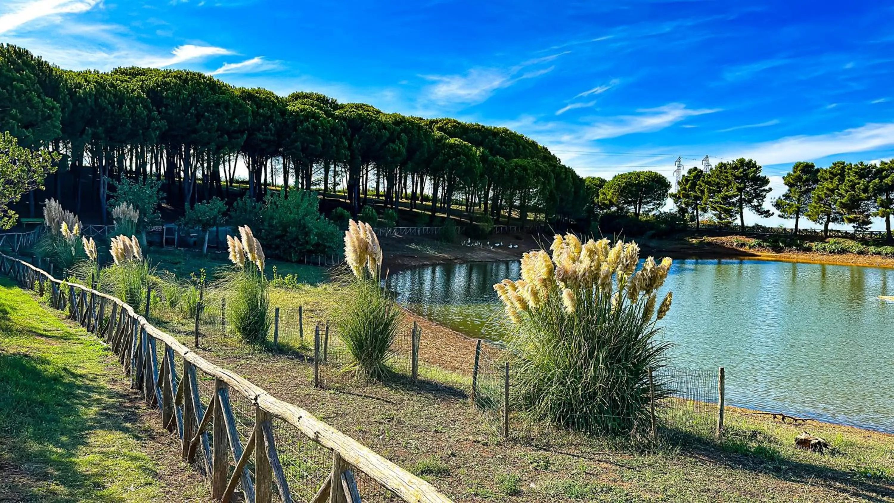 Lake view in Popilia Country Resort