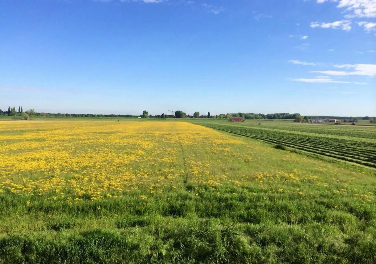 Photo of the whole room in B&B Antica cascina