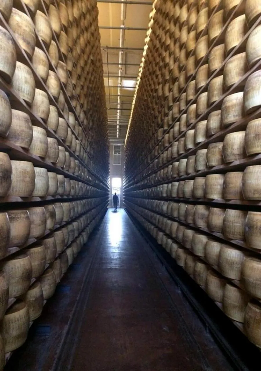 Activities in B&B Antica cascina