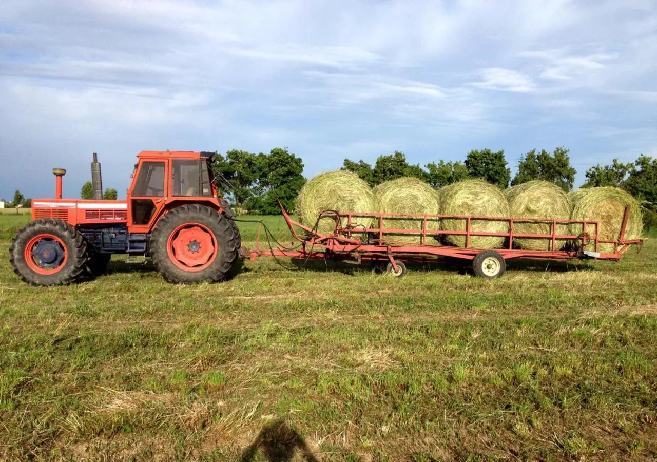 On site in B&B Antica cascina