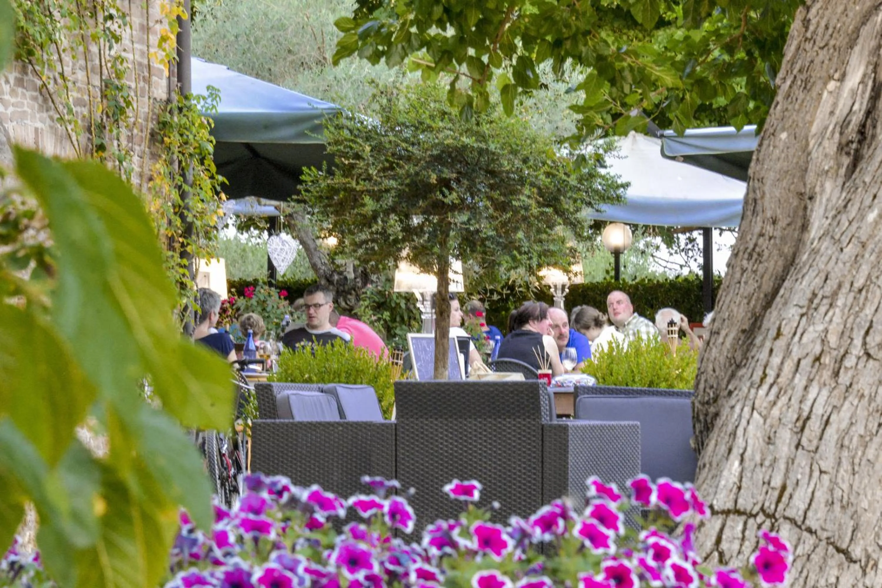 Restaurant/places to eat in Casa Di Campagna In Toscana