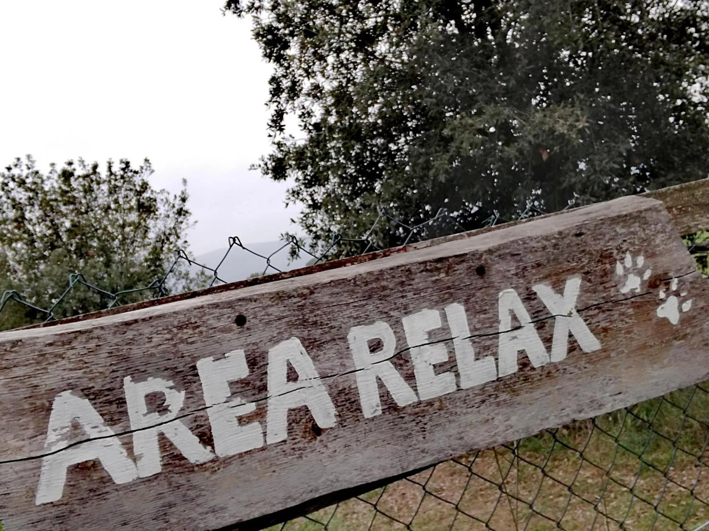 Animals in Casa Di Campagna In Toscana