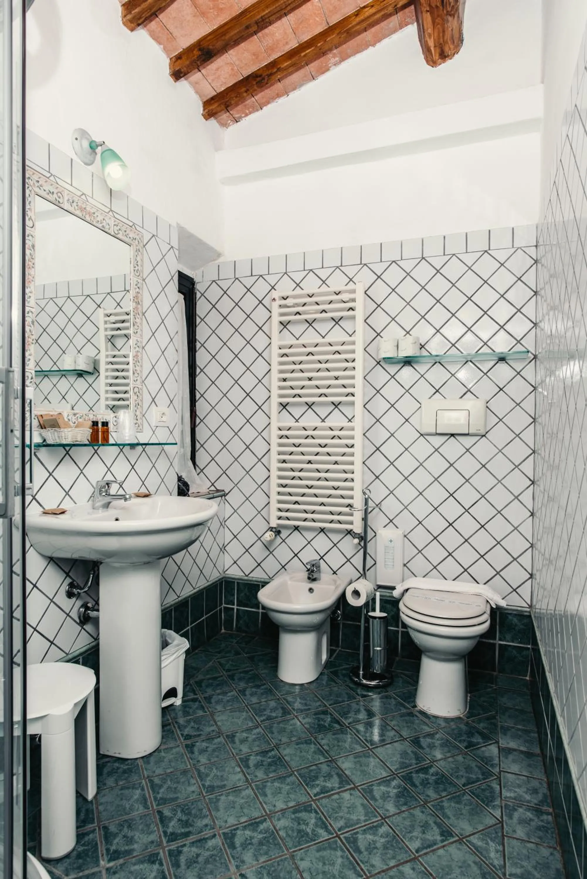 Toilet in Casa Di Campagna In Toscana