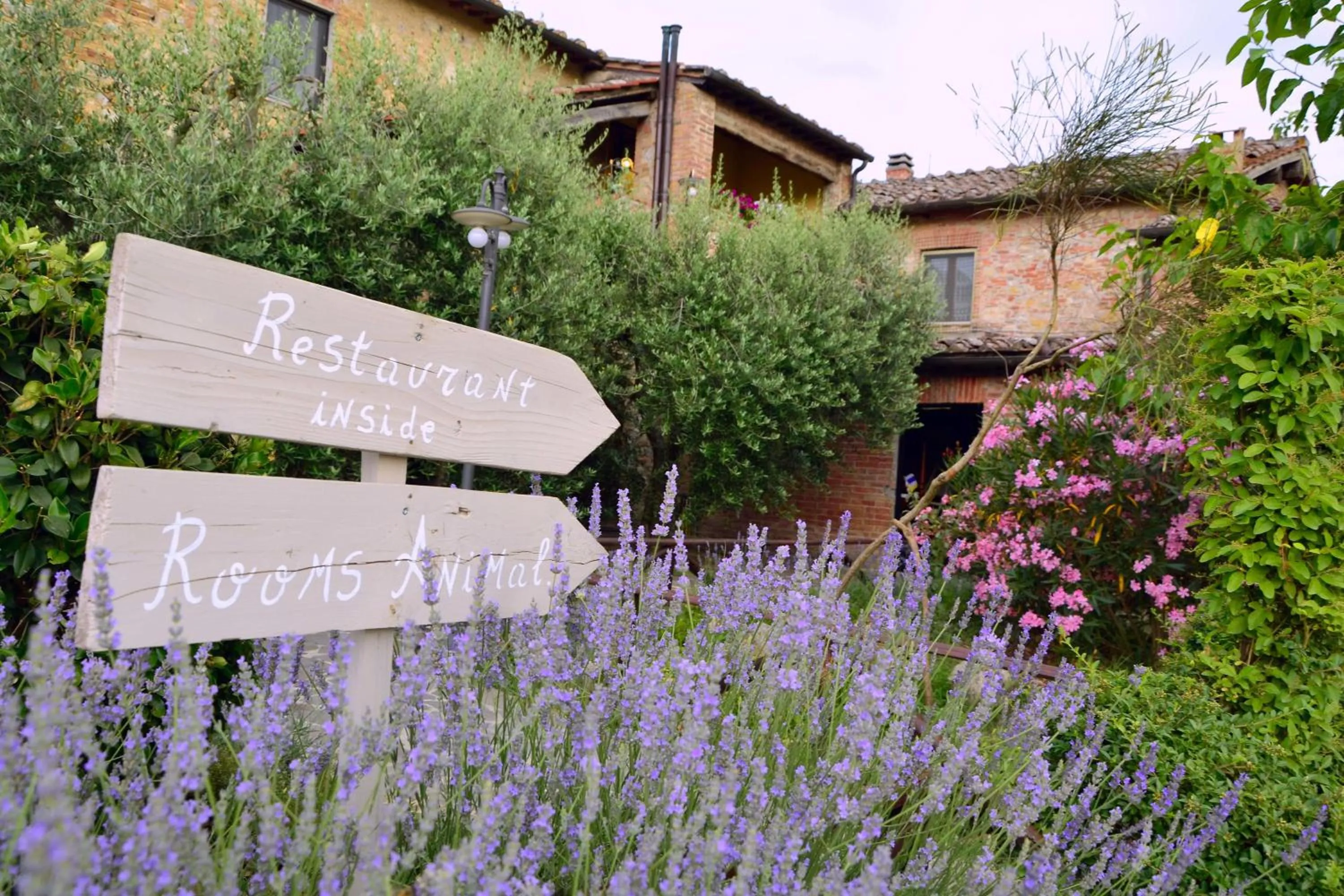 Summer in Casa Di Campagna In Toscana