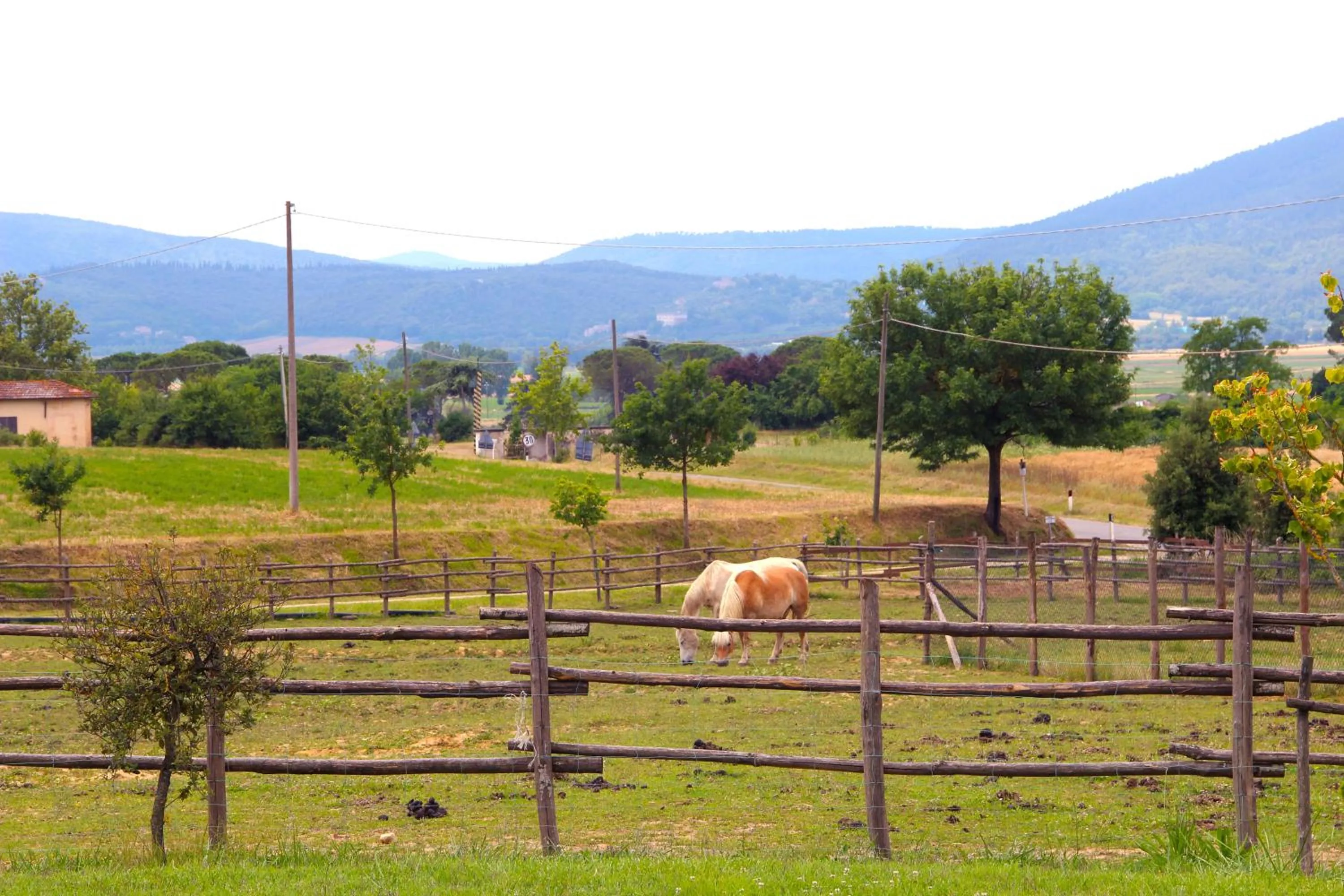 Horse-riding in Casa Di Campagna In Toscana