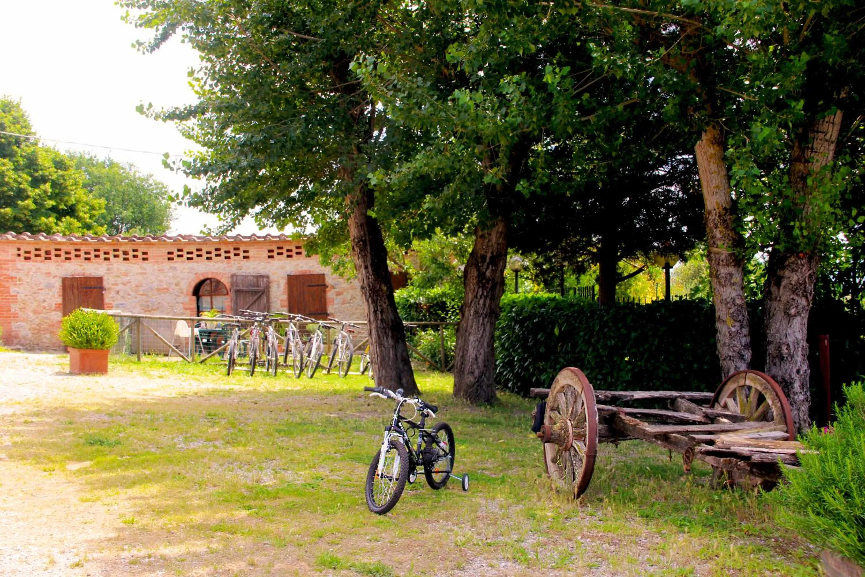 Cycling in Casa Di Campagna In Toscana