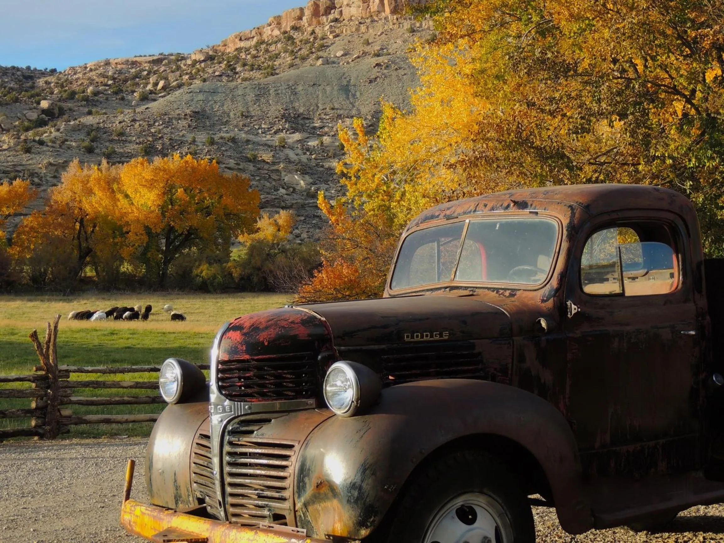 Day in Canyon Of The Ancients Guest Ranch