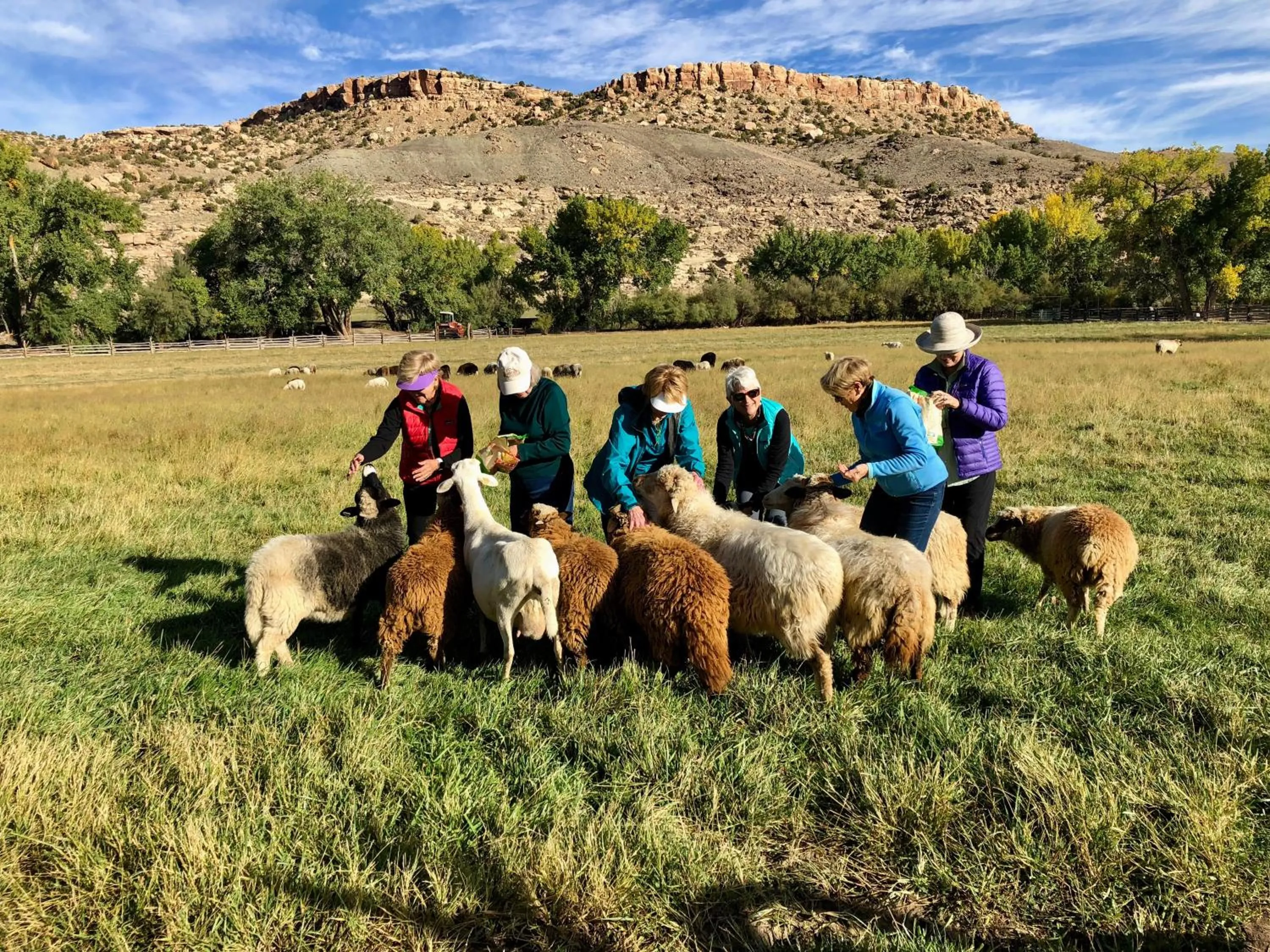 Natural landscape in Canyon Of The Ancients Guest Ranch