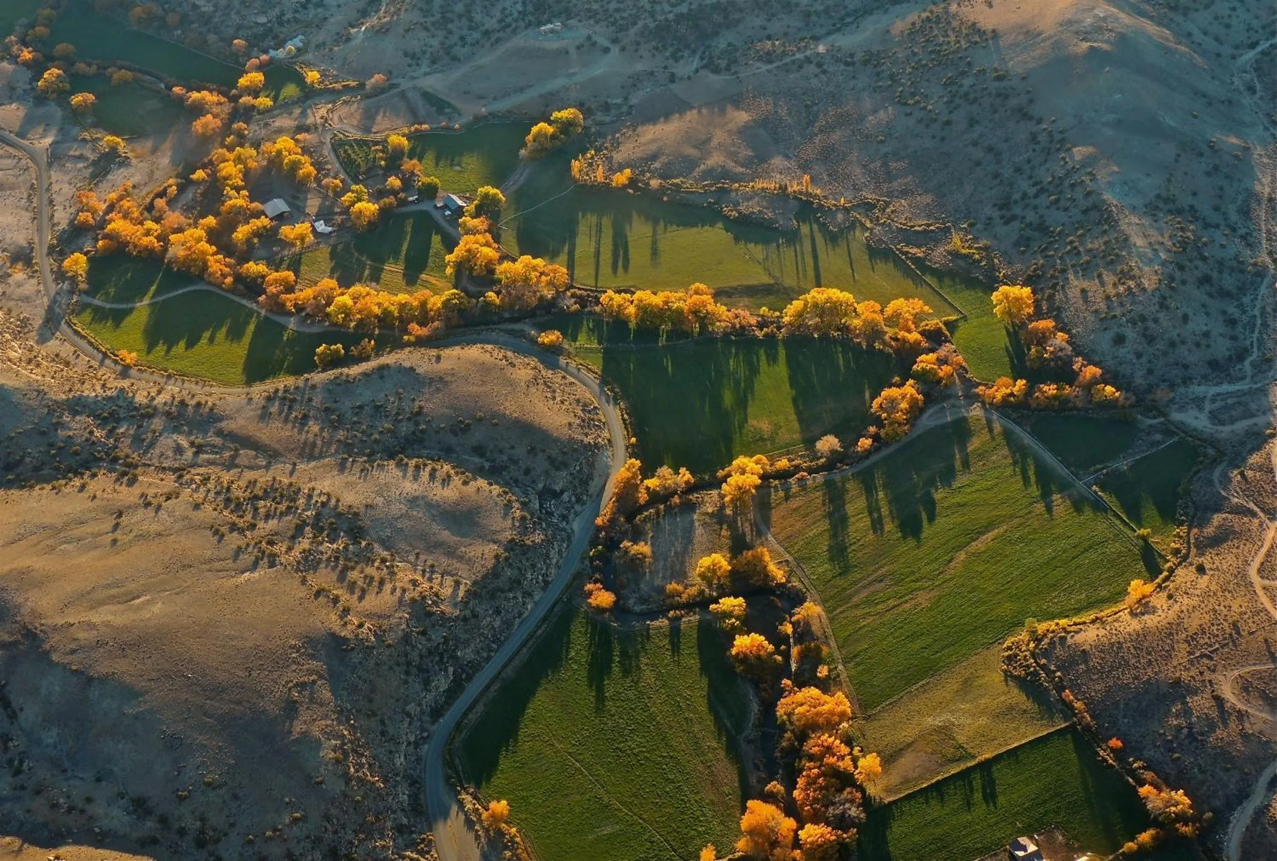 Natural landscape in Canyon Of The Ancients Guest Ranch