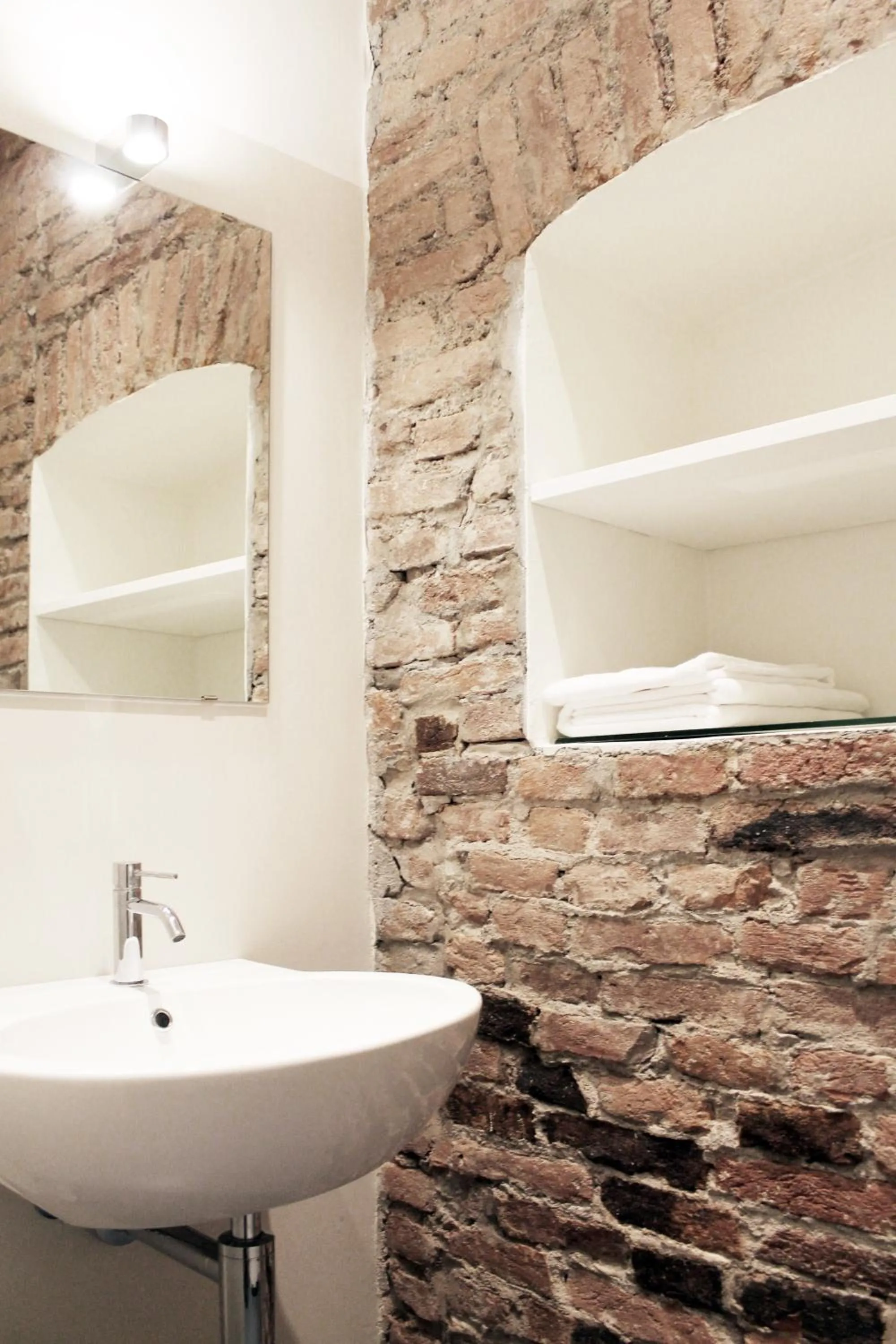 Rapanus Suites