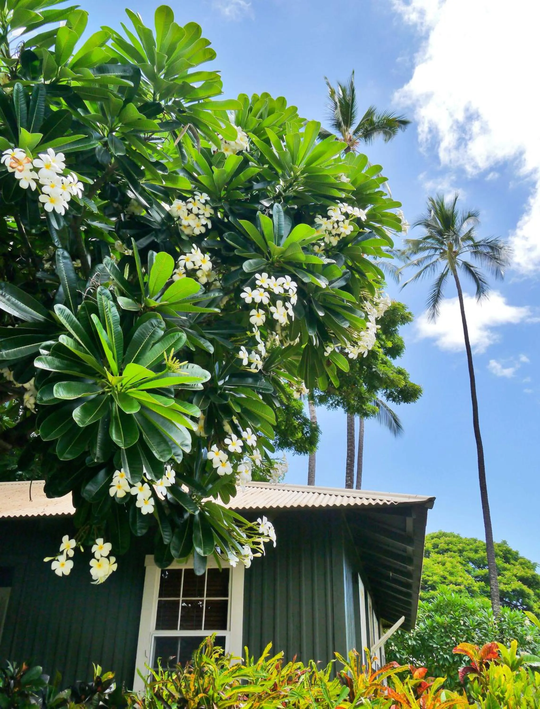 Property building in Waimea Plantation Cottages, a Coast Resort