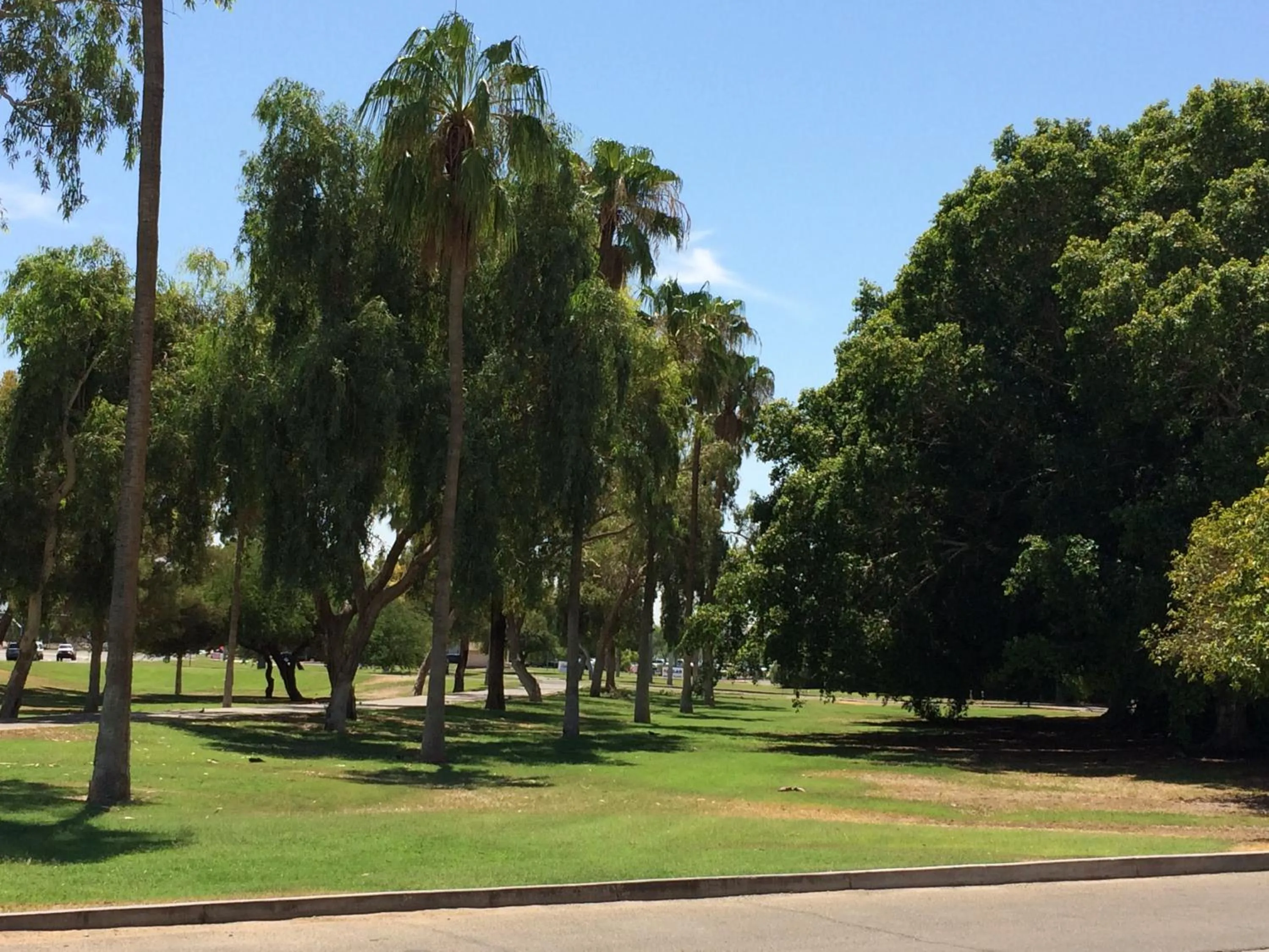 Area and facilities in Howard Johnson by Wyndham Yuma
