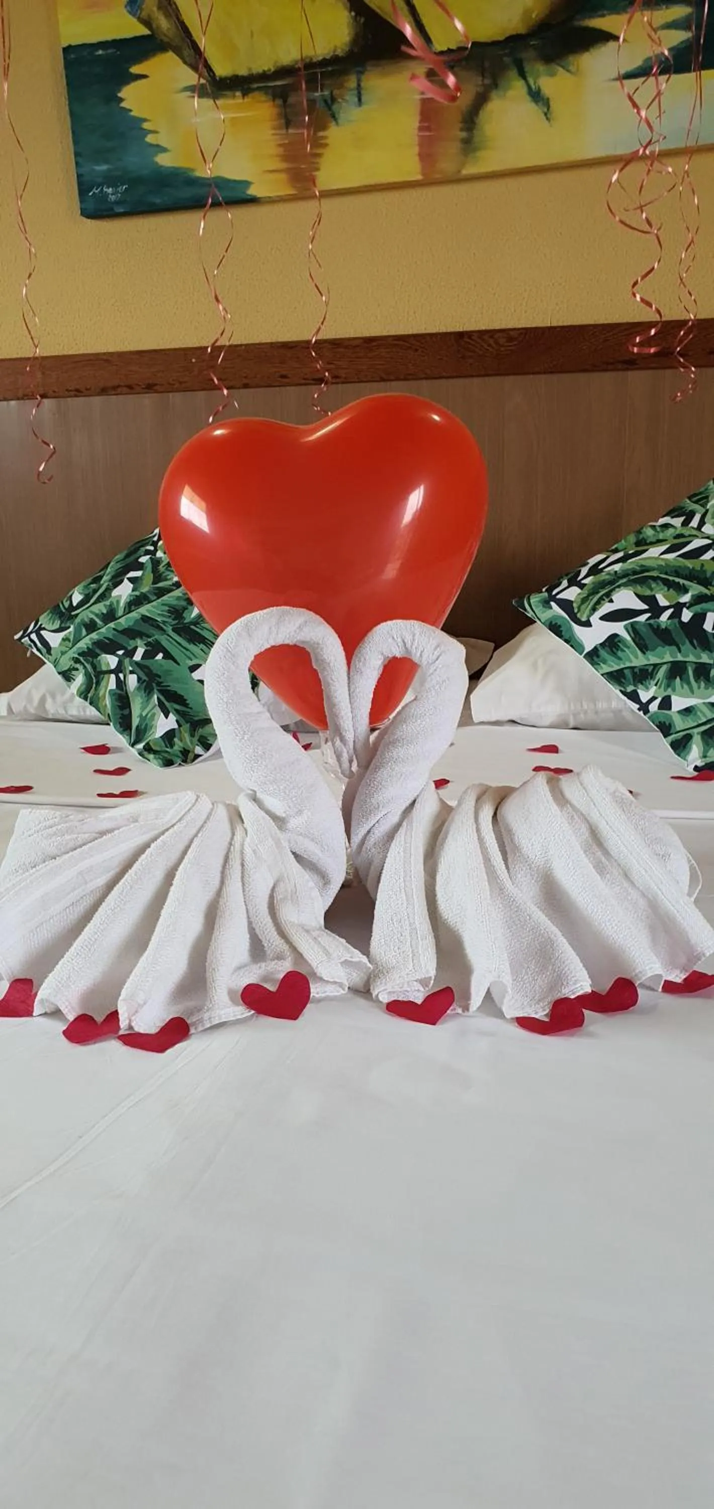 Area and facilities, Bed in Duas Praias Hotel Pousada