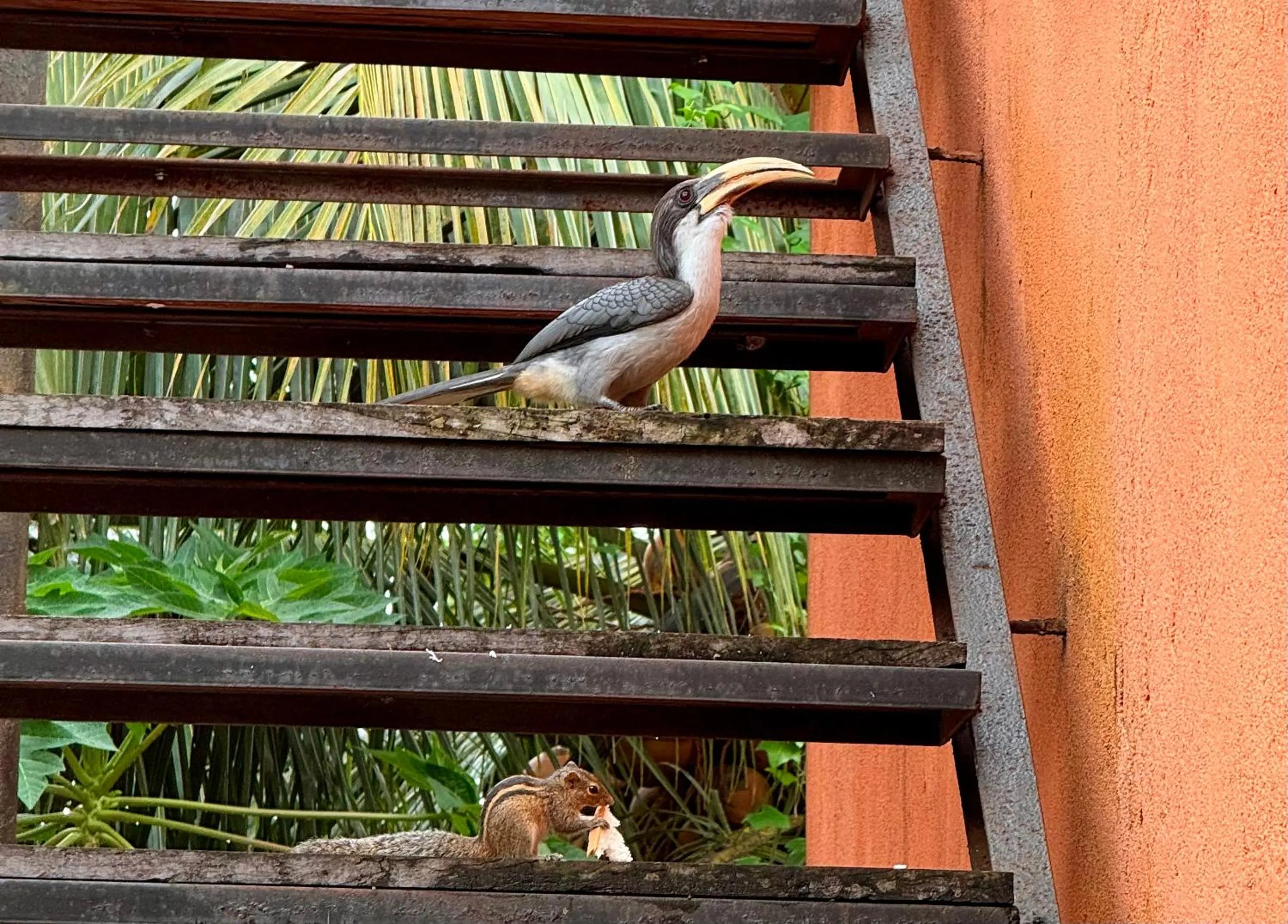 Hotel 4 U Saliya Garden