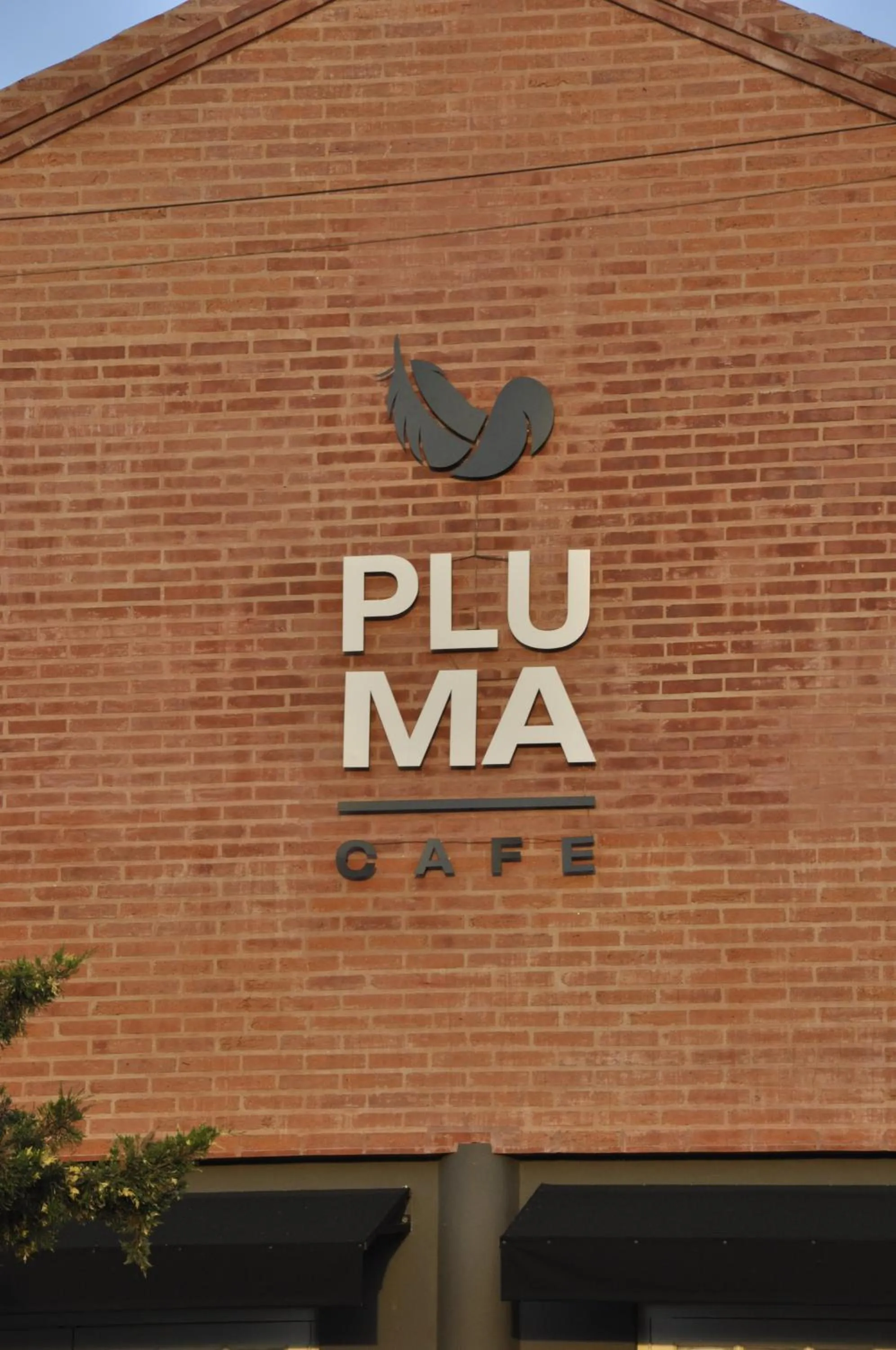 Restaurant/places to eat in Posada de las Aguilas Hotel Boutique