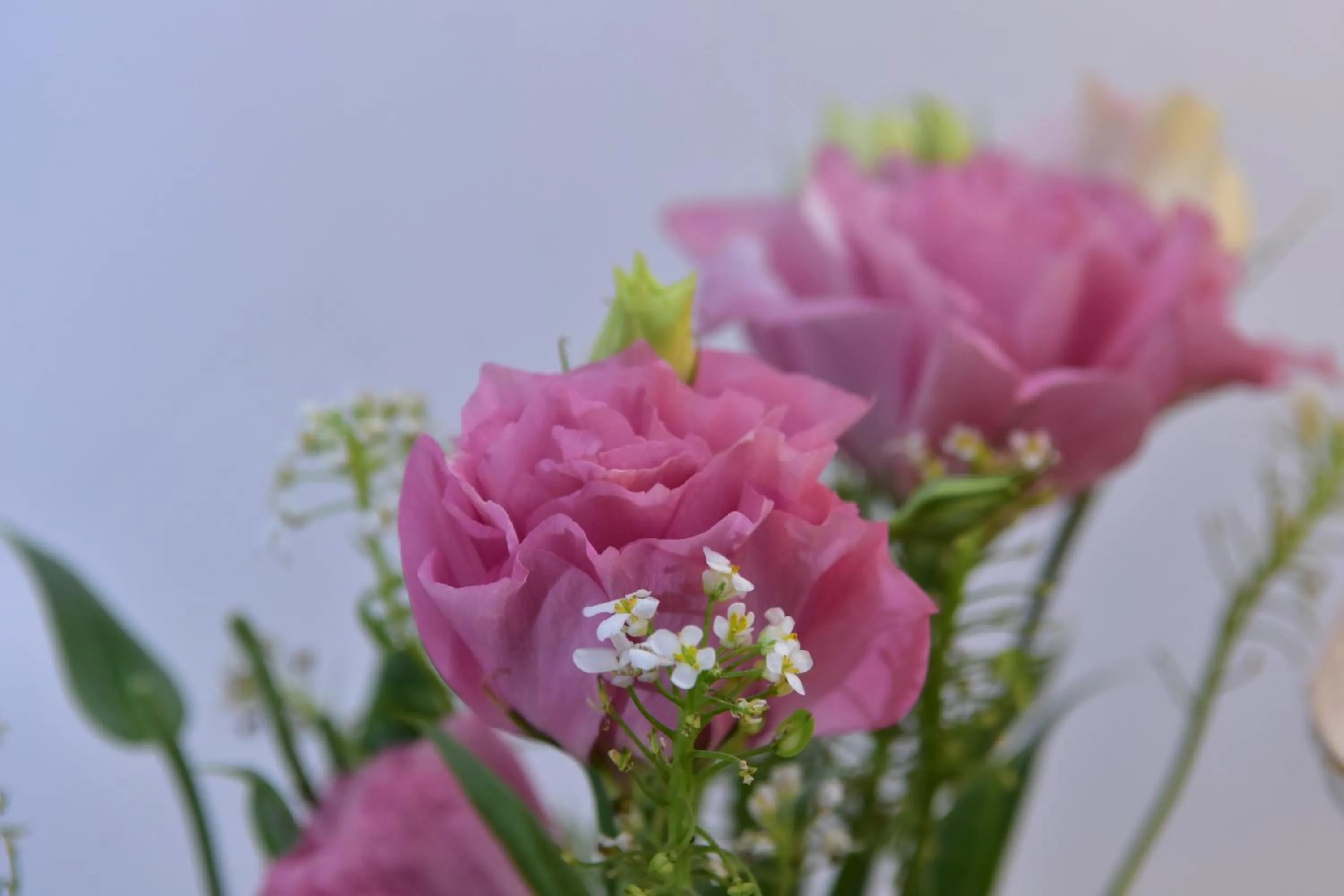 Living room in Las Moras Hotel