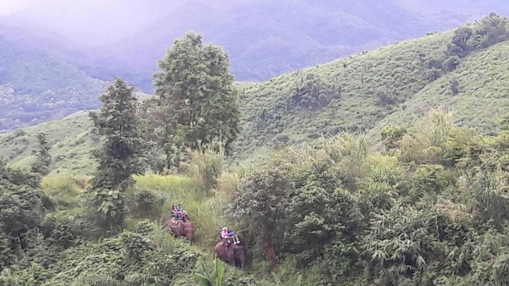 Hill Tribe Art House (Lahu & Akha Homestay)