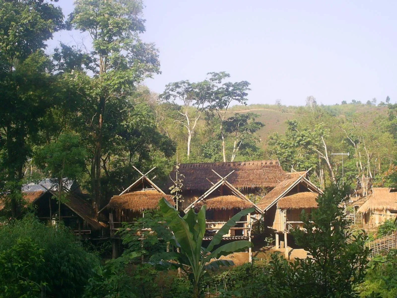 Hill Tribe Art House (Lahu & Akha Homestay)