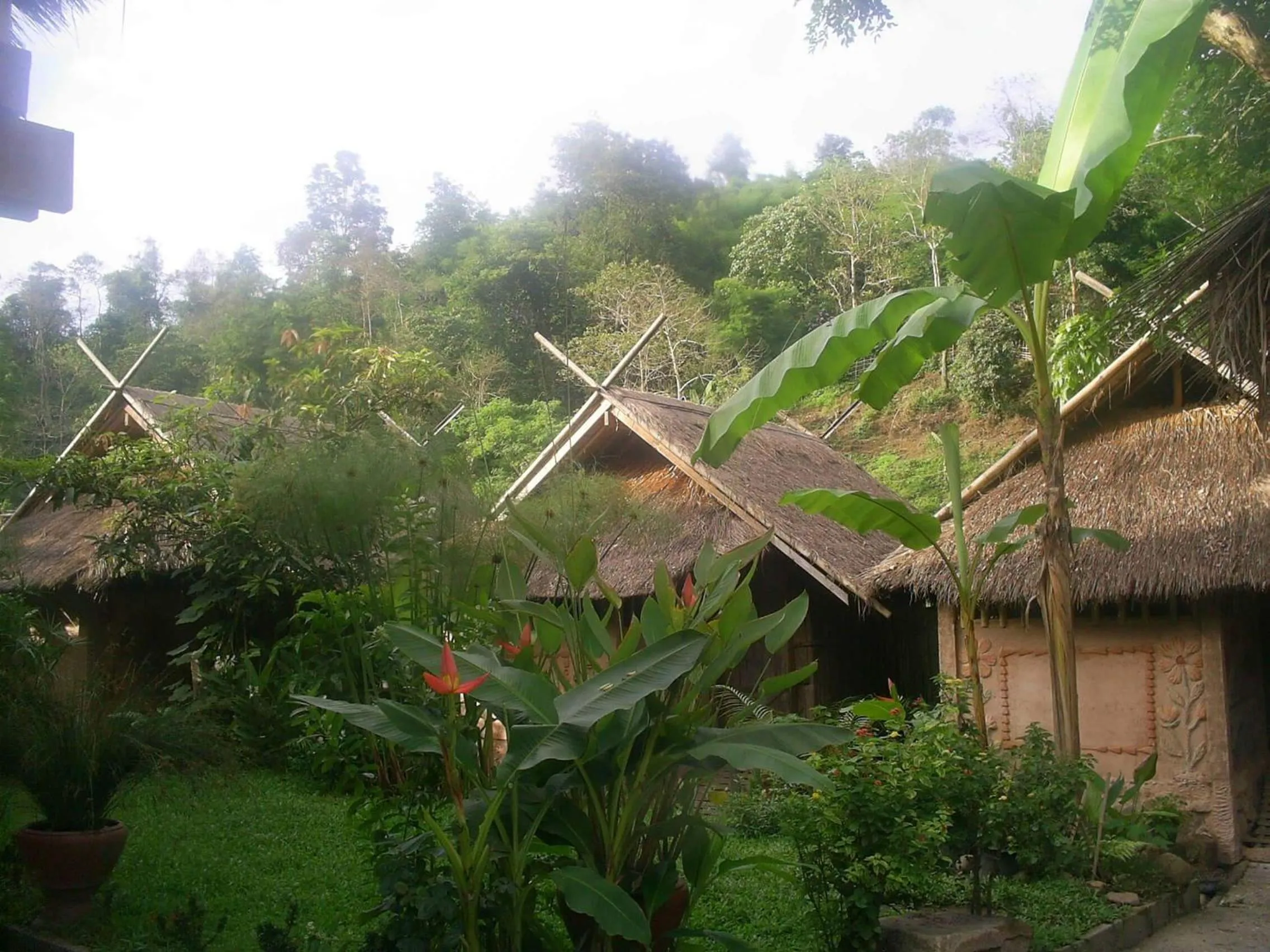 Garden in Hill Tribe Art House (Lahu & Akha Homestay)