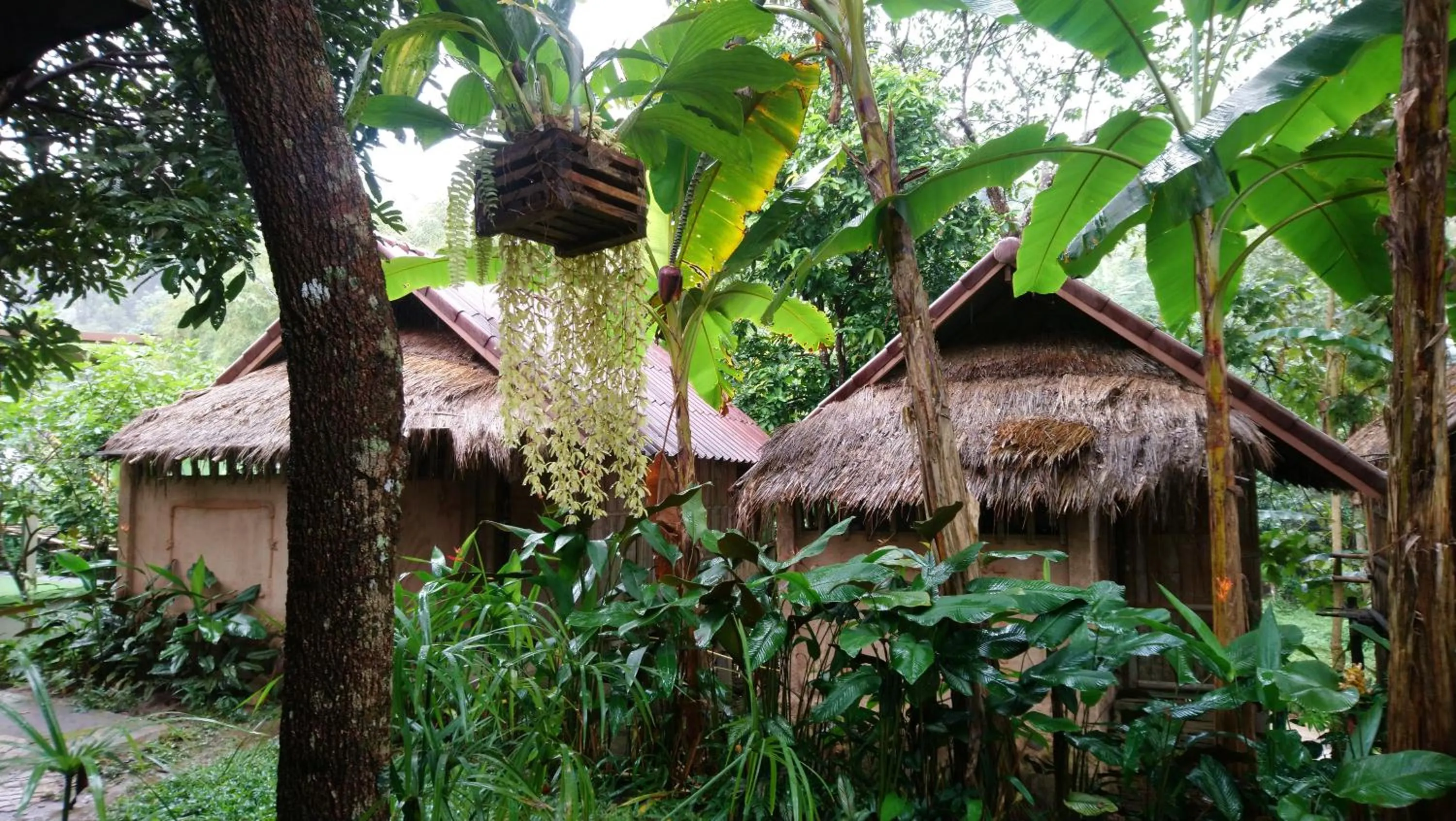 Hill Tribe Art House (Lahu & Akha Homestay)