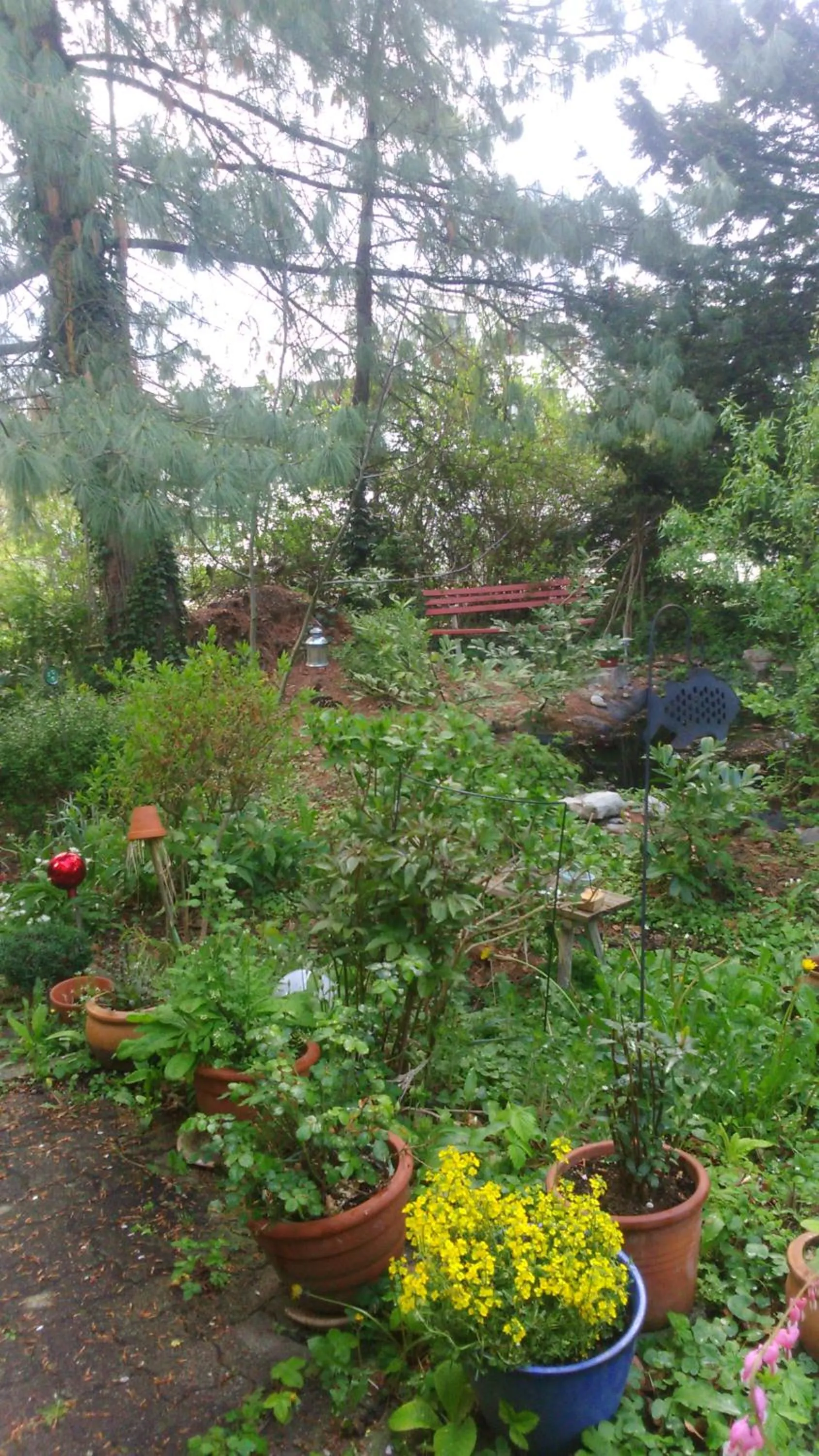 Garden in B&B am Park