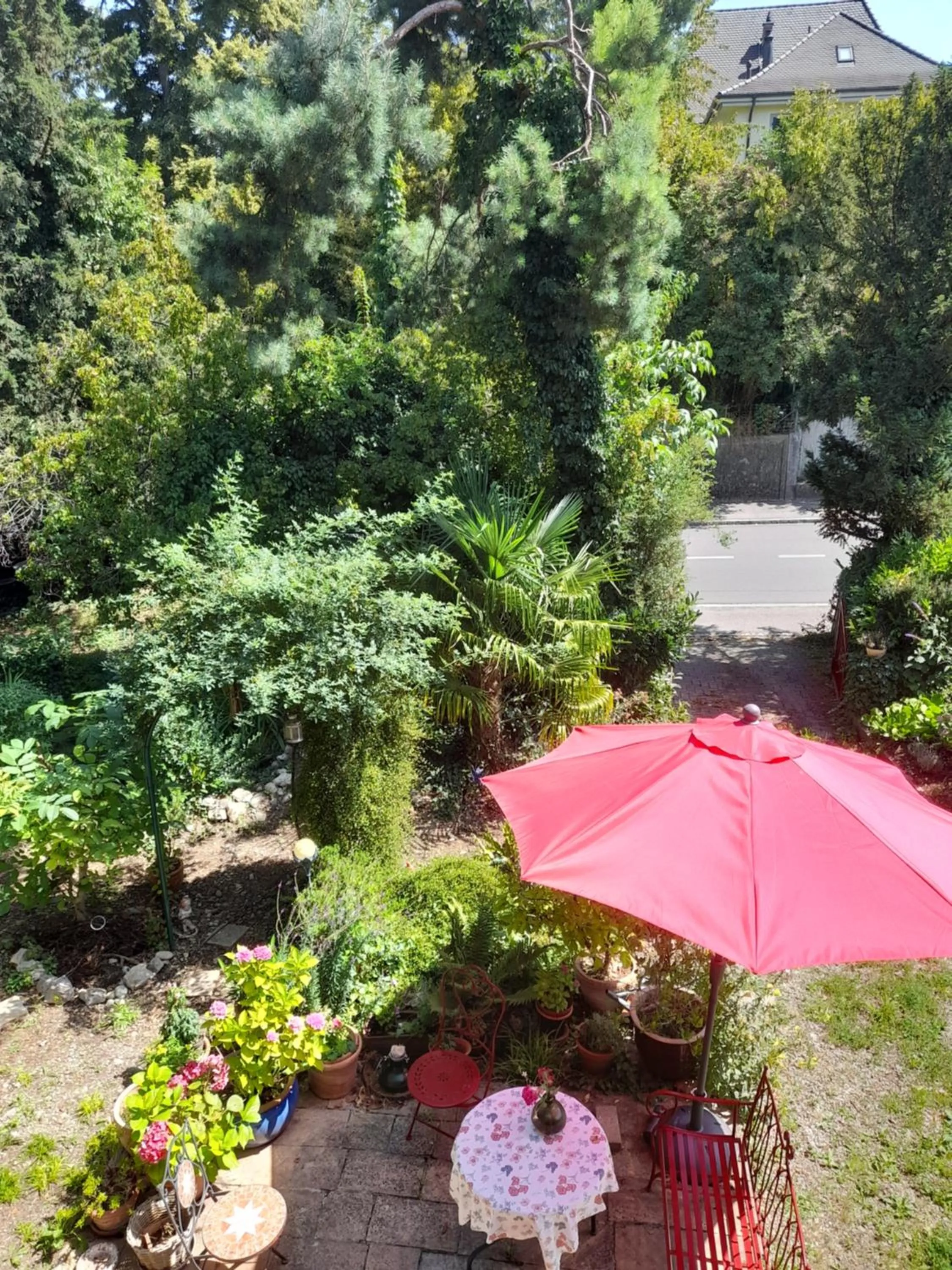 Garden in B&B am Park