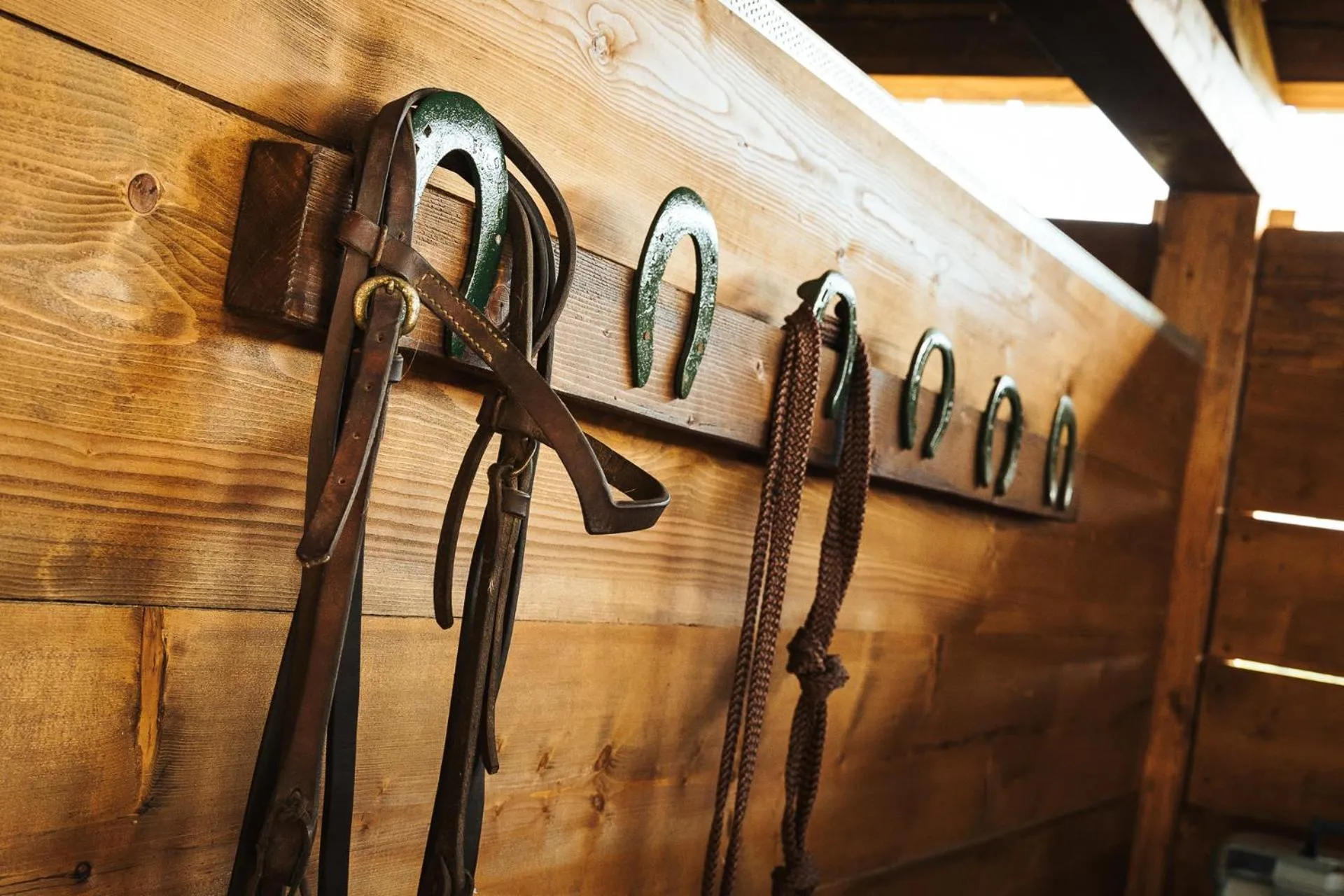 Horse-riding in Agriturismo Sweet Cottage