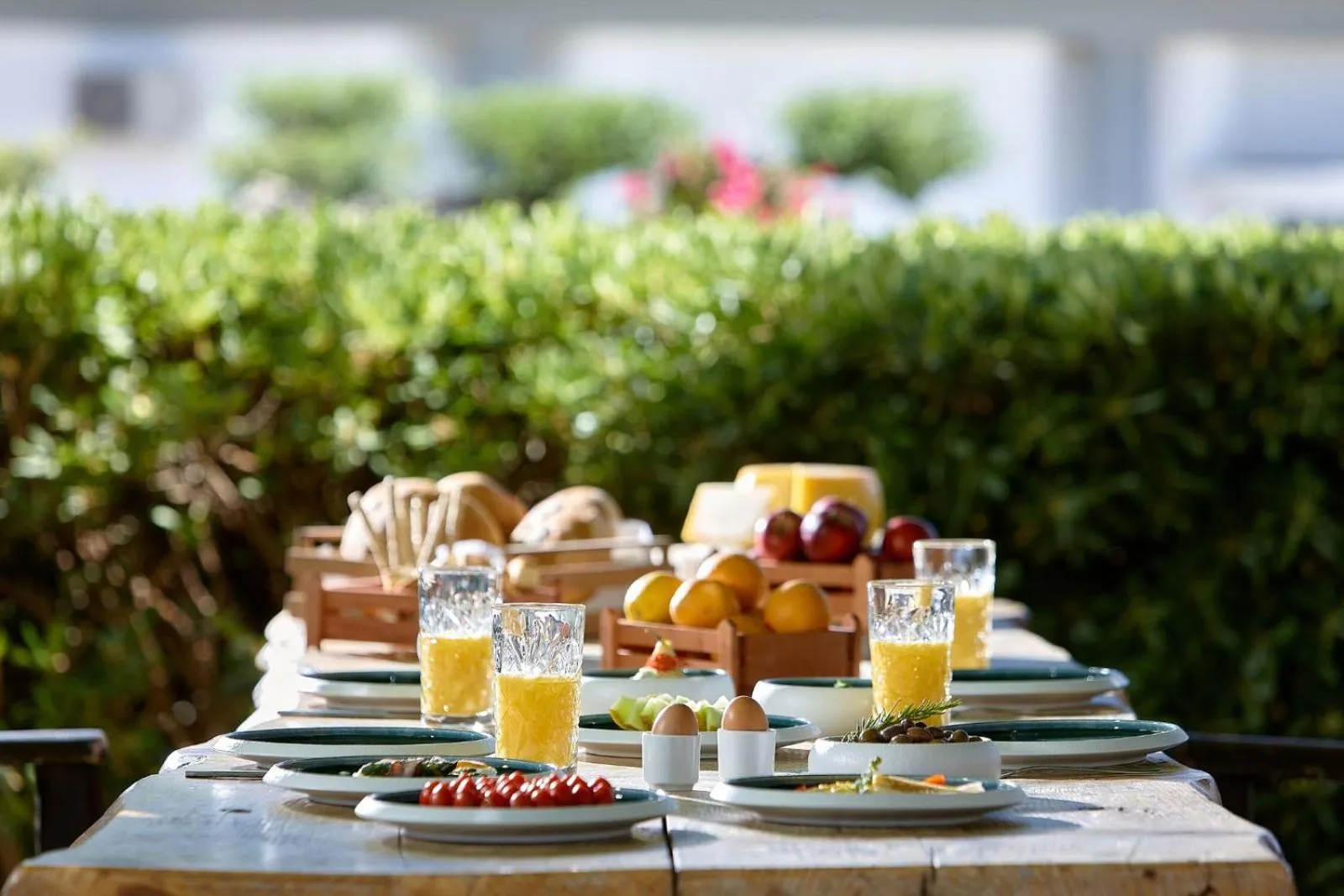 Buffet breakfast in Vasia Ormos Hotel (Adults Only)