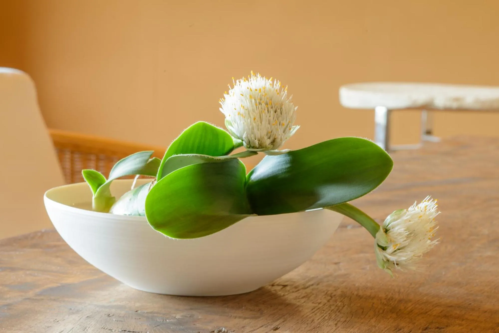 Arima Onsen Takayamaso Hanano