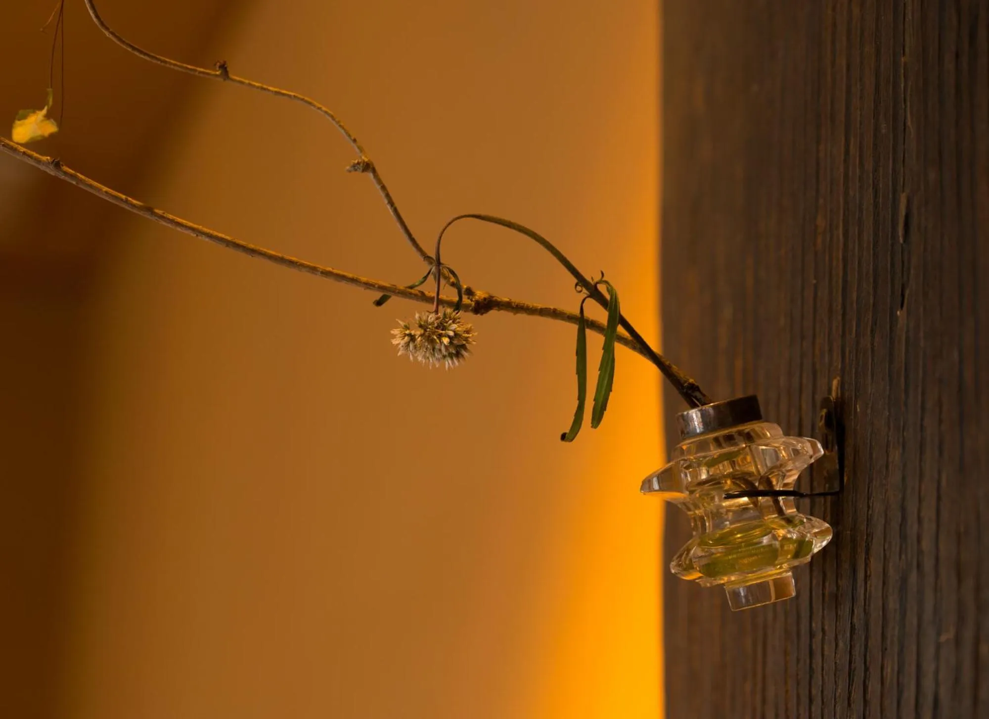 Arima Onsen Takayamaso Hanano