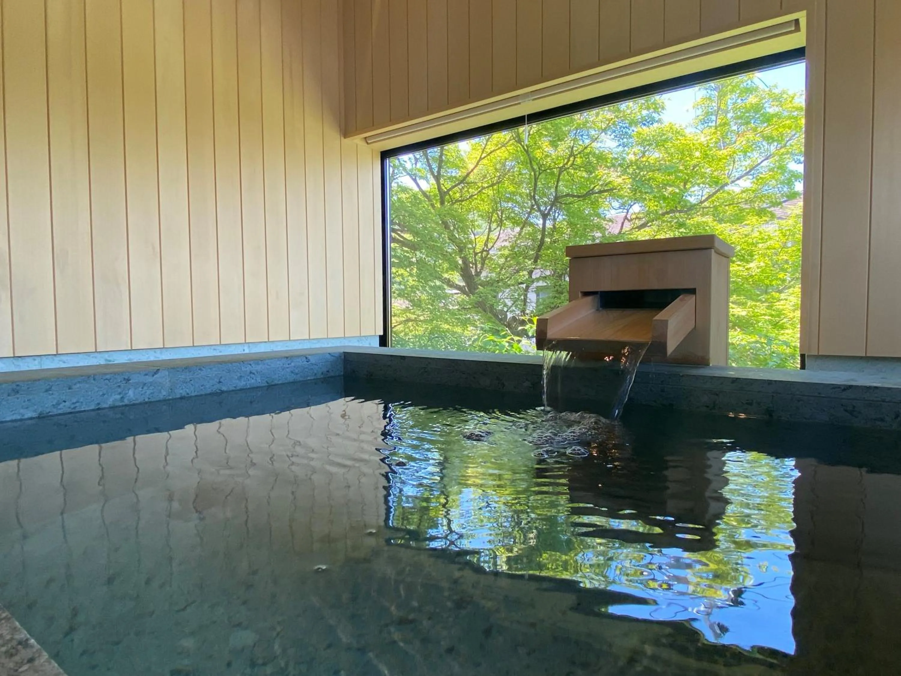 Hot Spring Bath in Arima Onsen Takayamaso Hanano