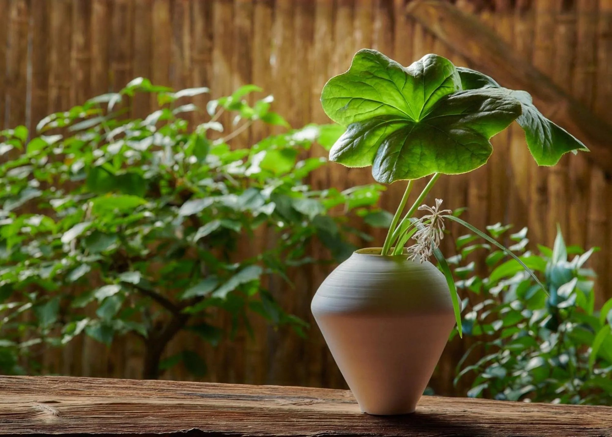 Arima Onsen Takayamaso Hanano